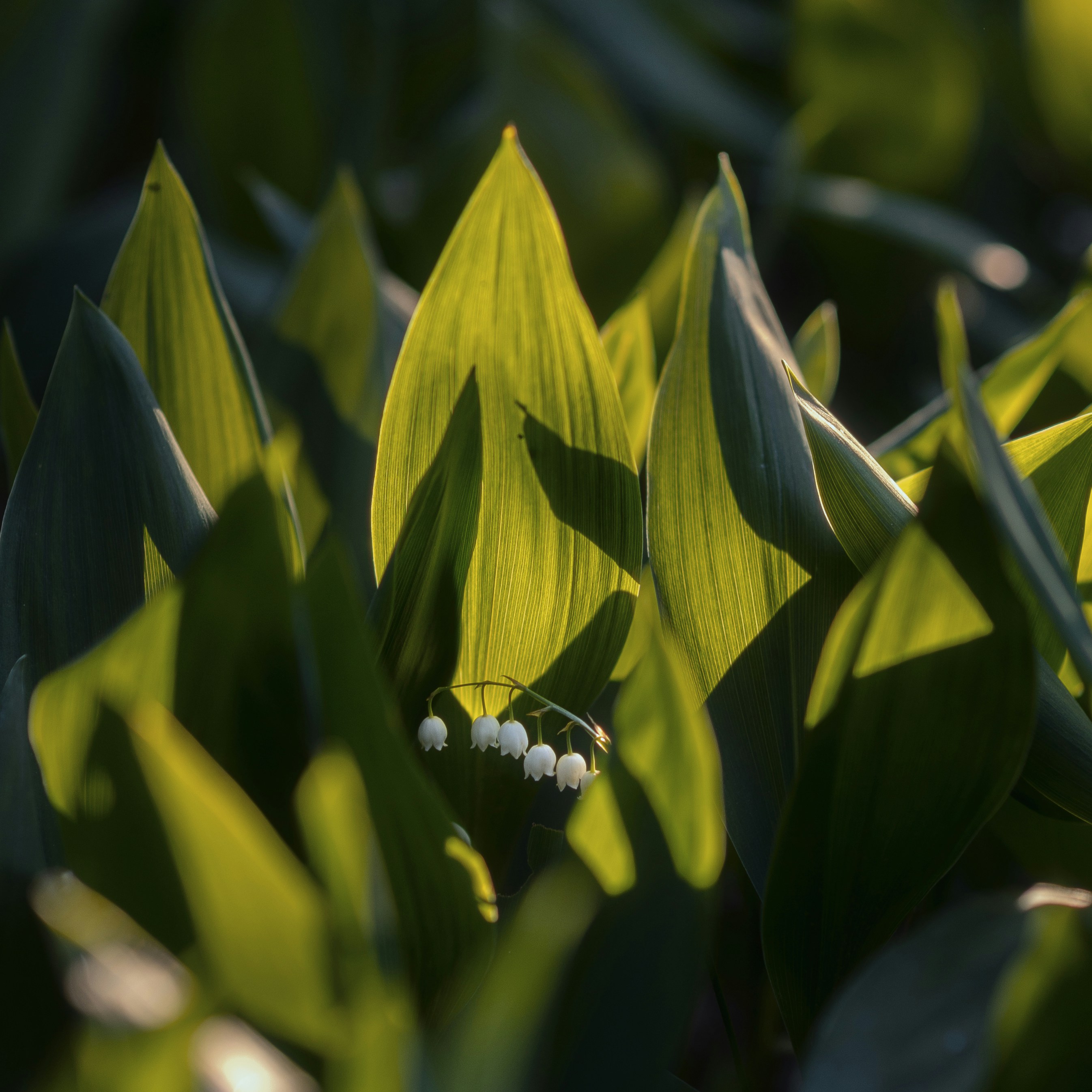 Photo by evil_bumblebee