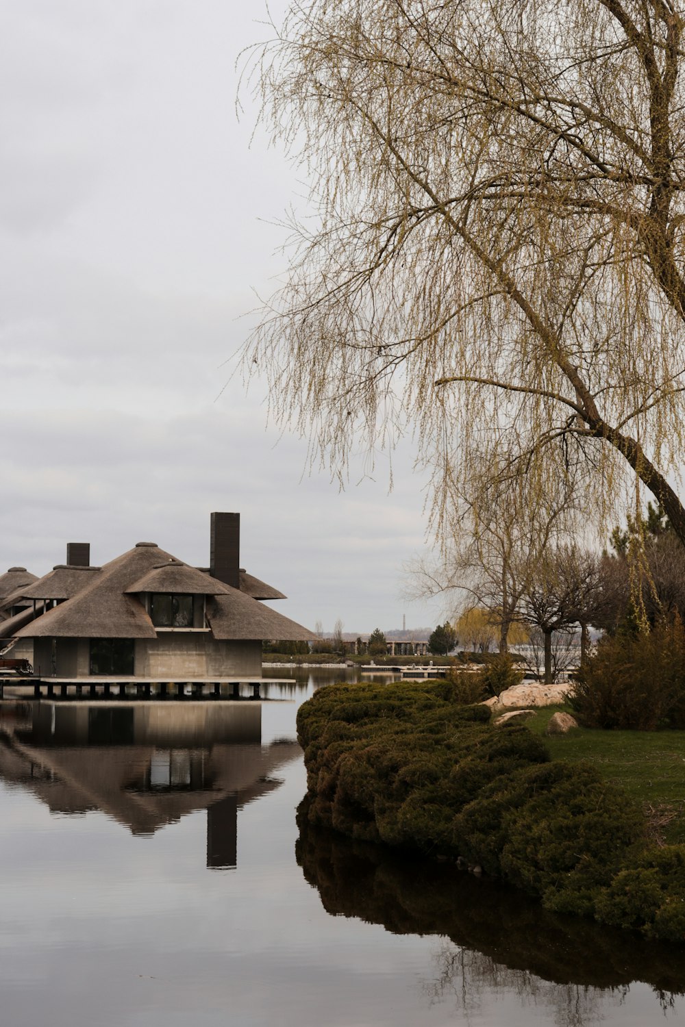 Una casa sentada en la cima de un lago junto a un árbol