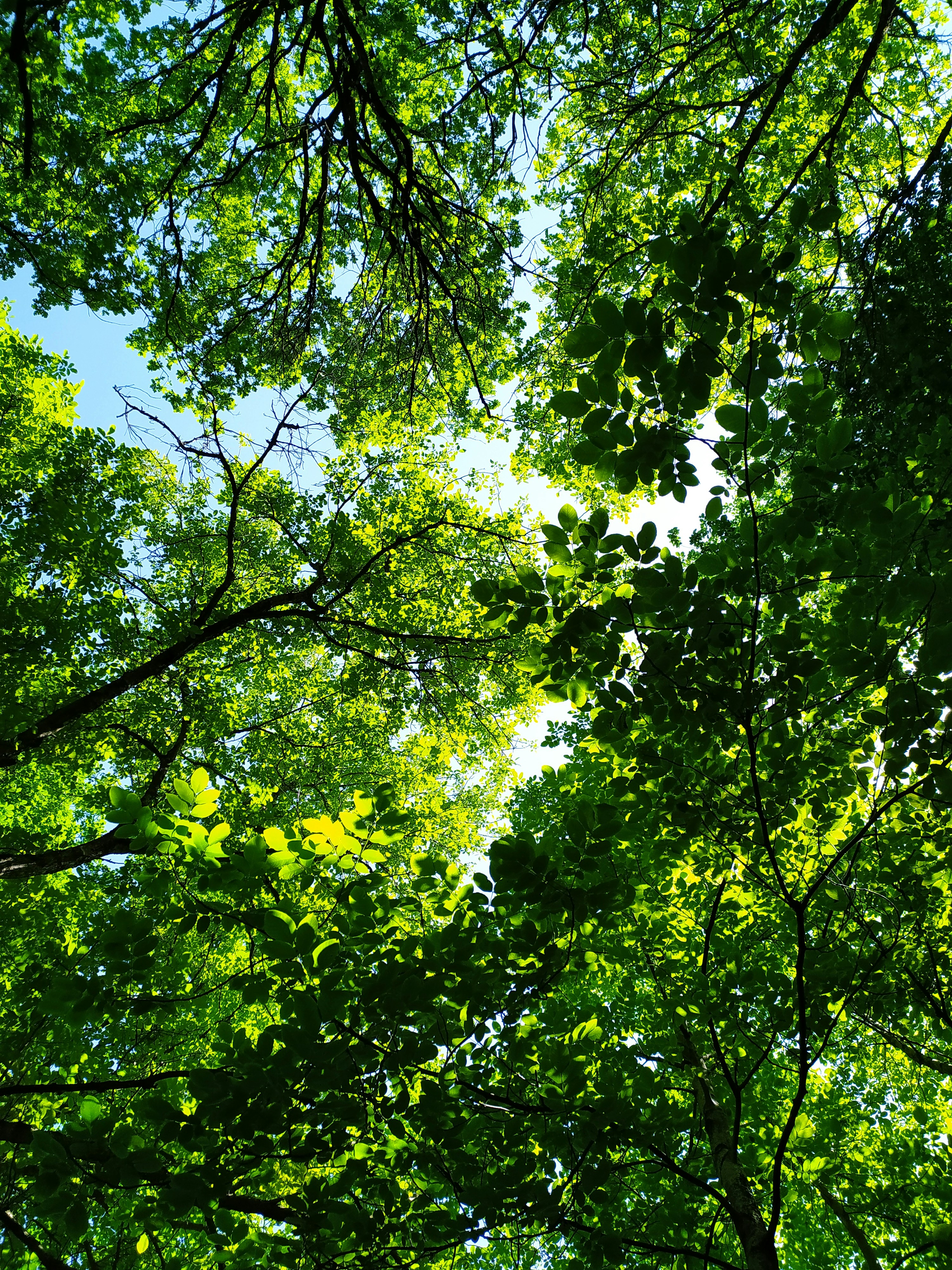 Photo by parvana_mahmudlu