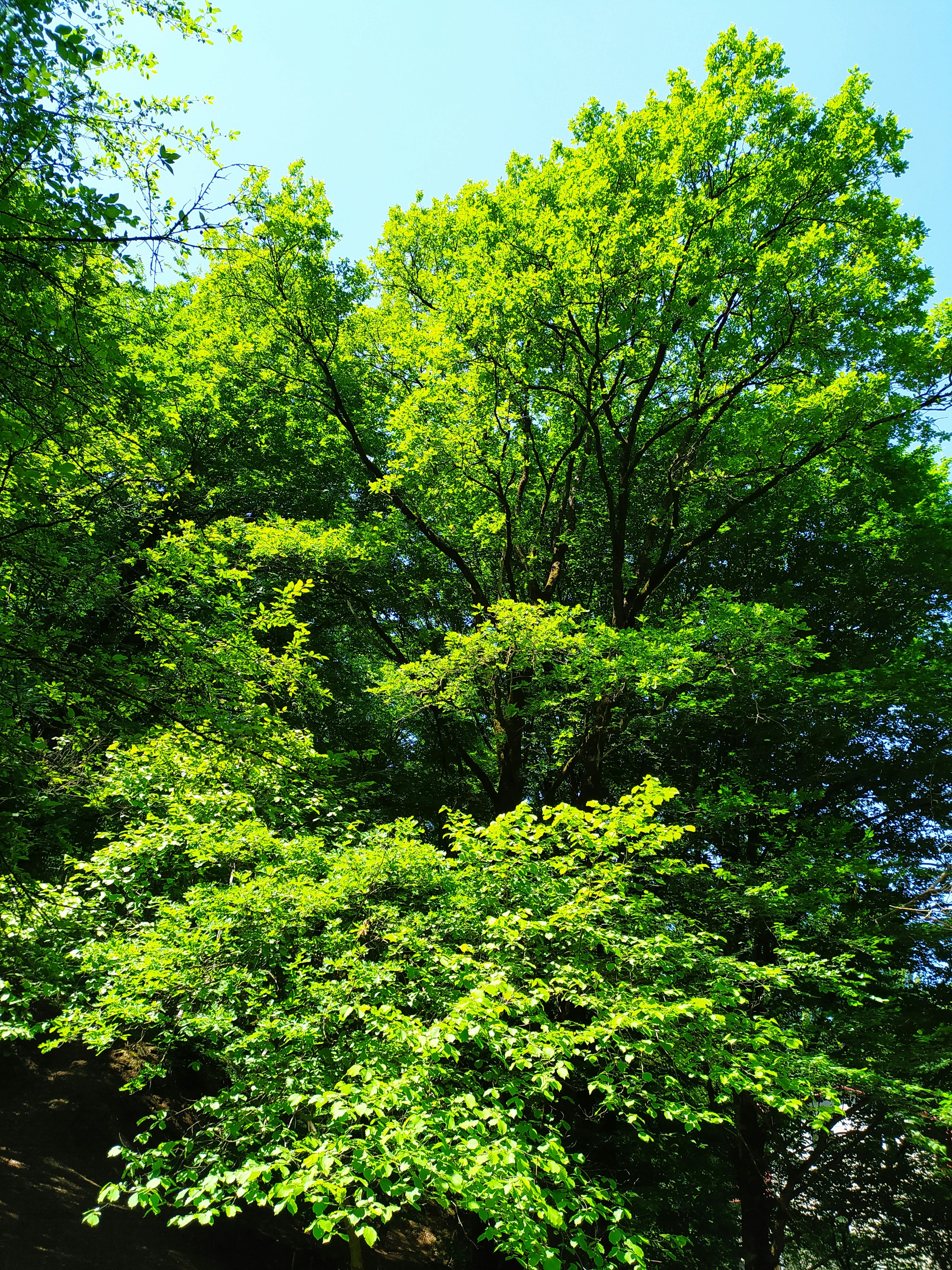 Photo by parvana_mahmudlu