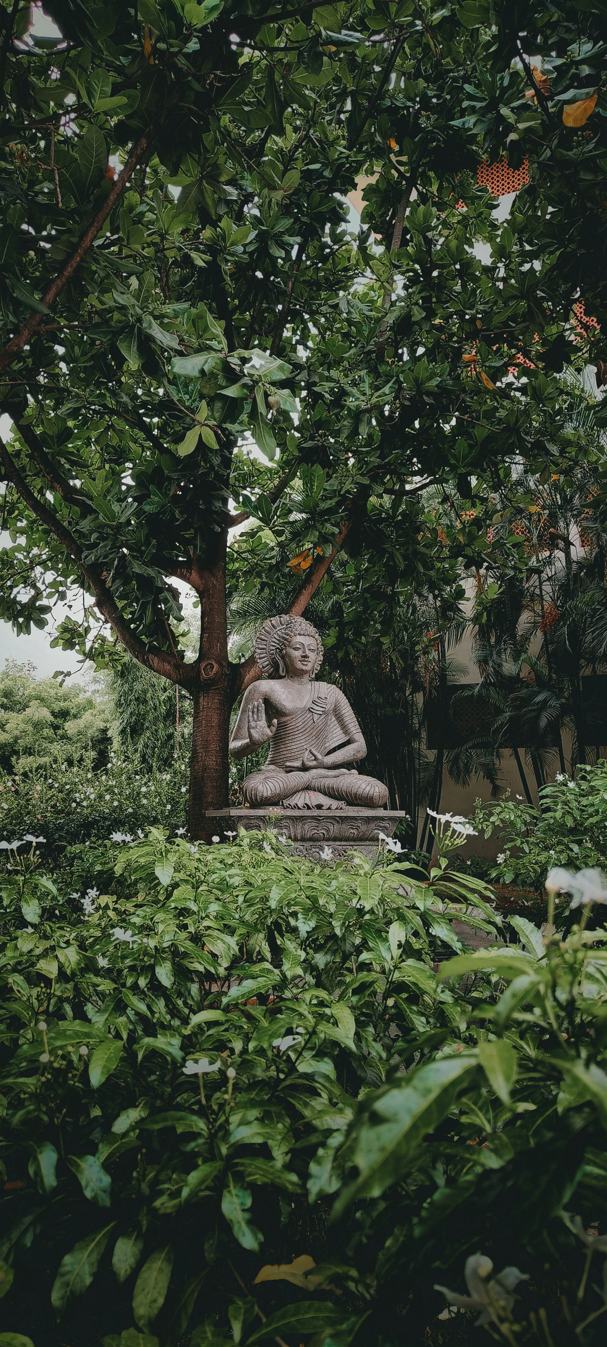 Photo by nanduvasudevan