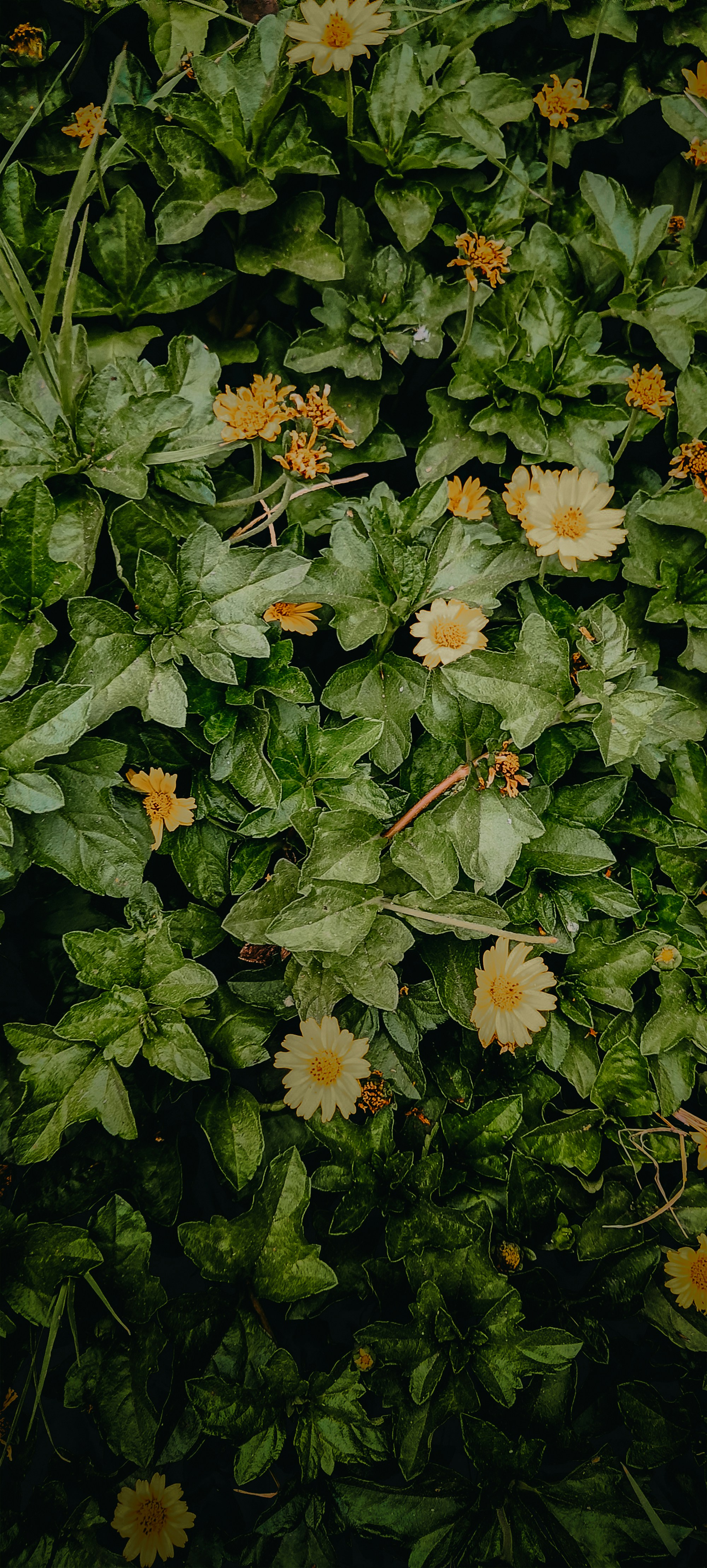 Photo by nanduvasudevan