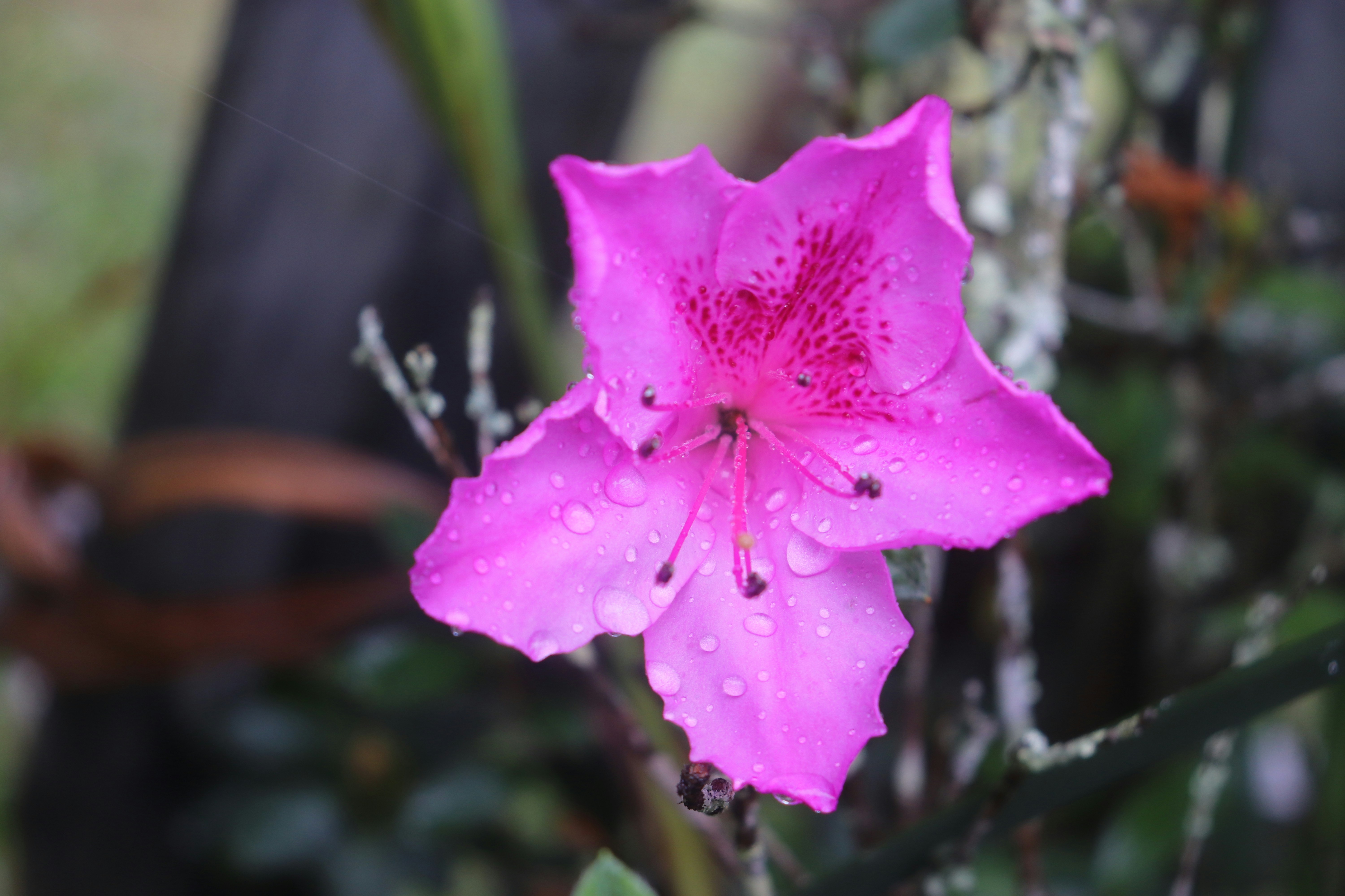 Photo by abdullah_abd