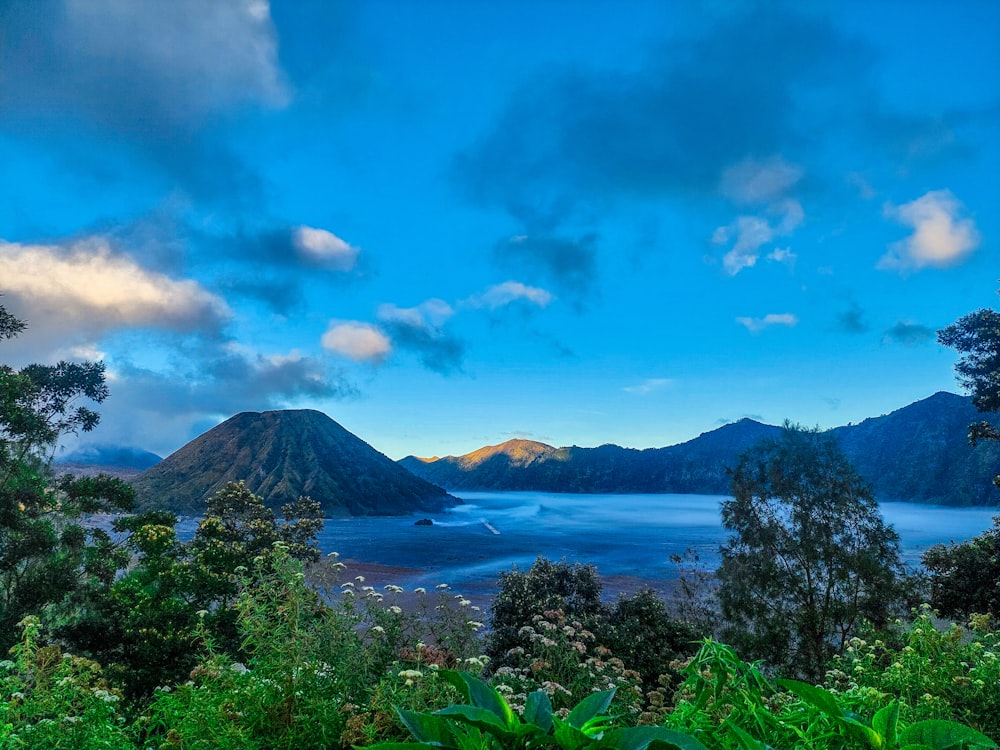 a scenic view of a lake surrounded by trees