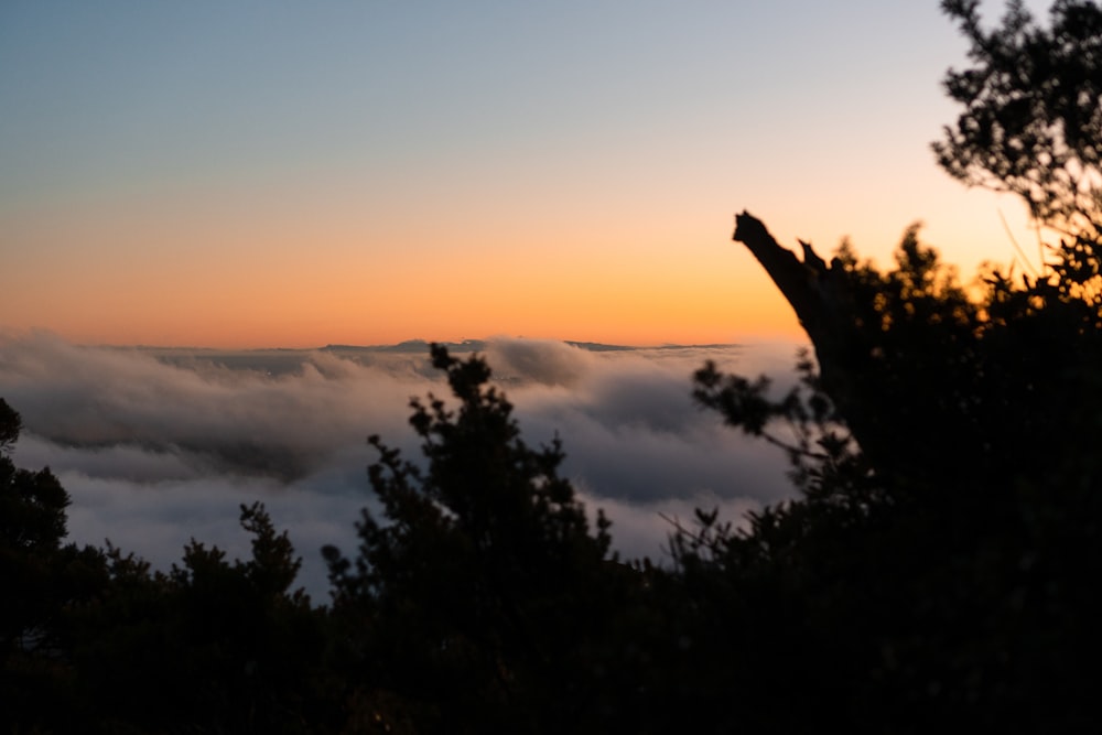 the sun is setting over the clouds and trees