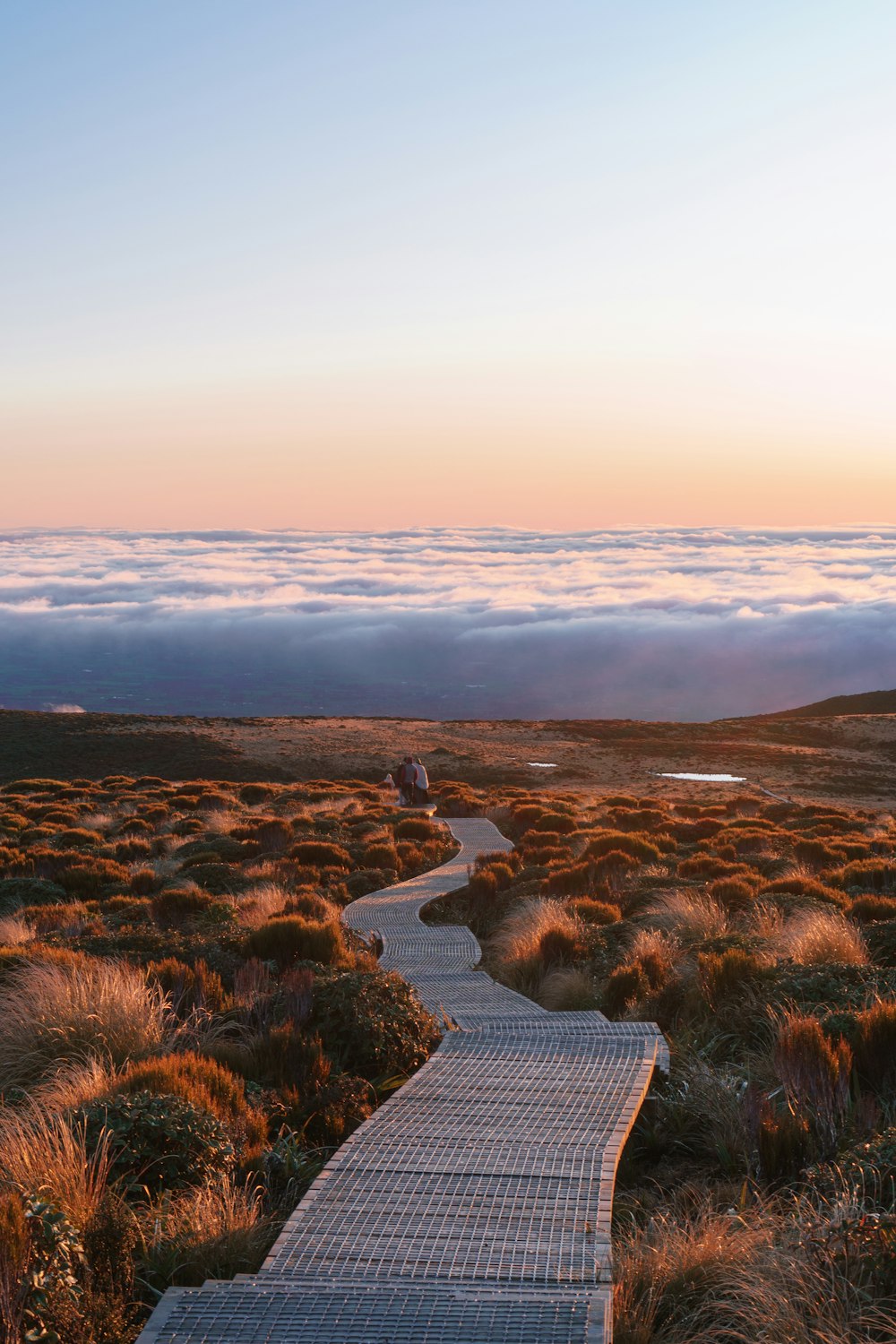 a path leading to the top of a mountain