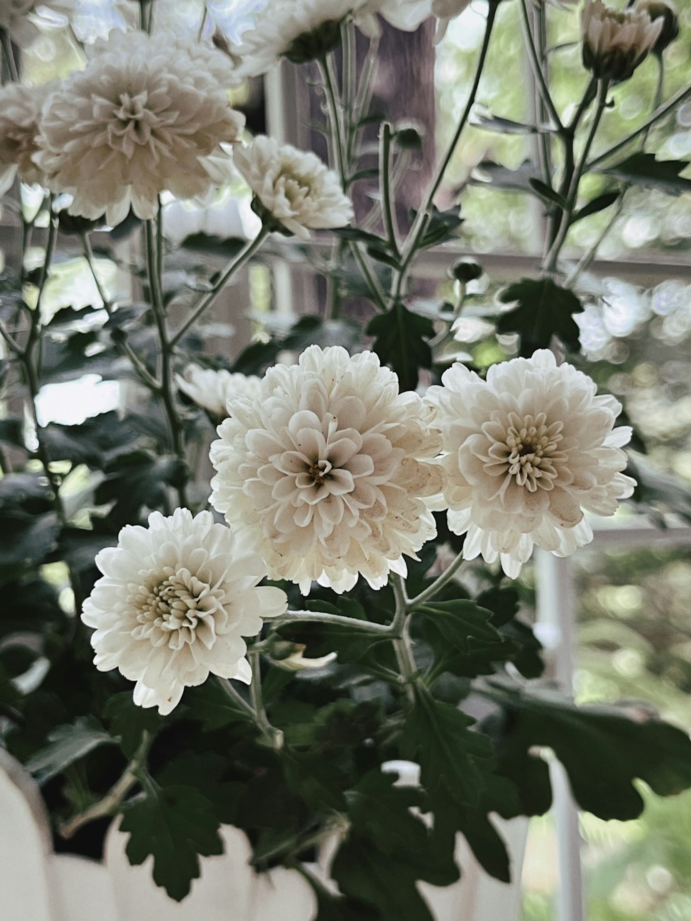 a bunch of flowers that are in a vase