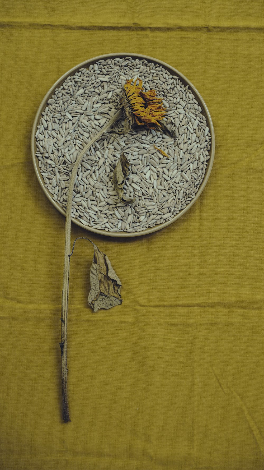 a plate with a dried flower on top of it