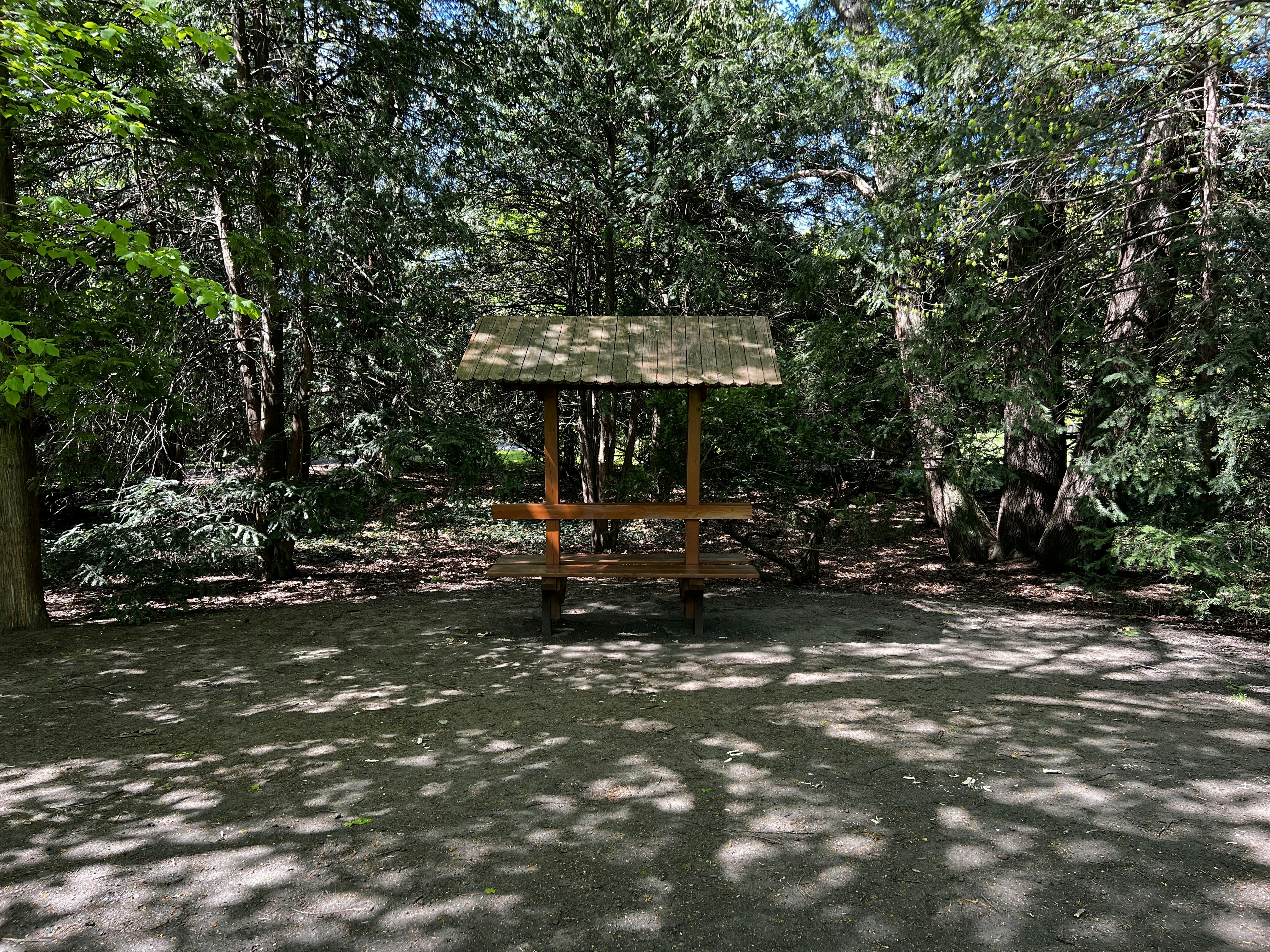 Photo by notthecernik