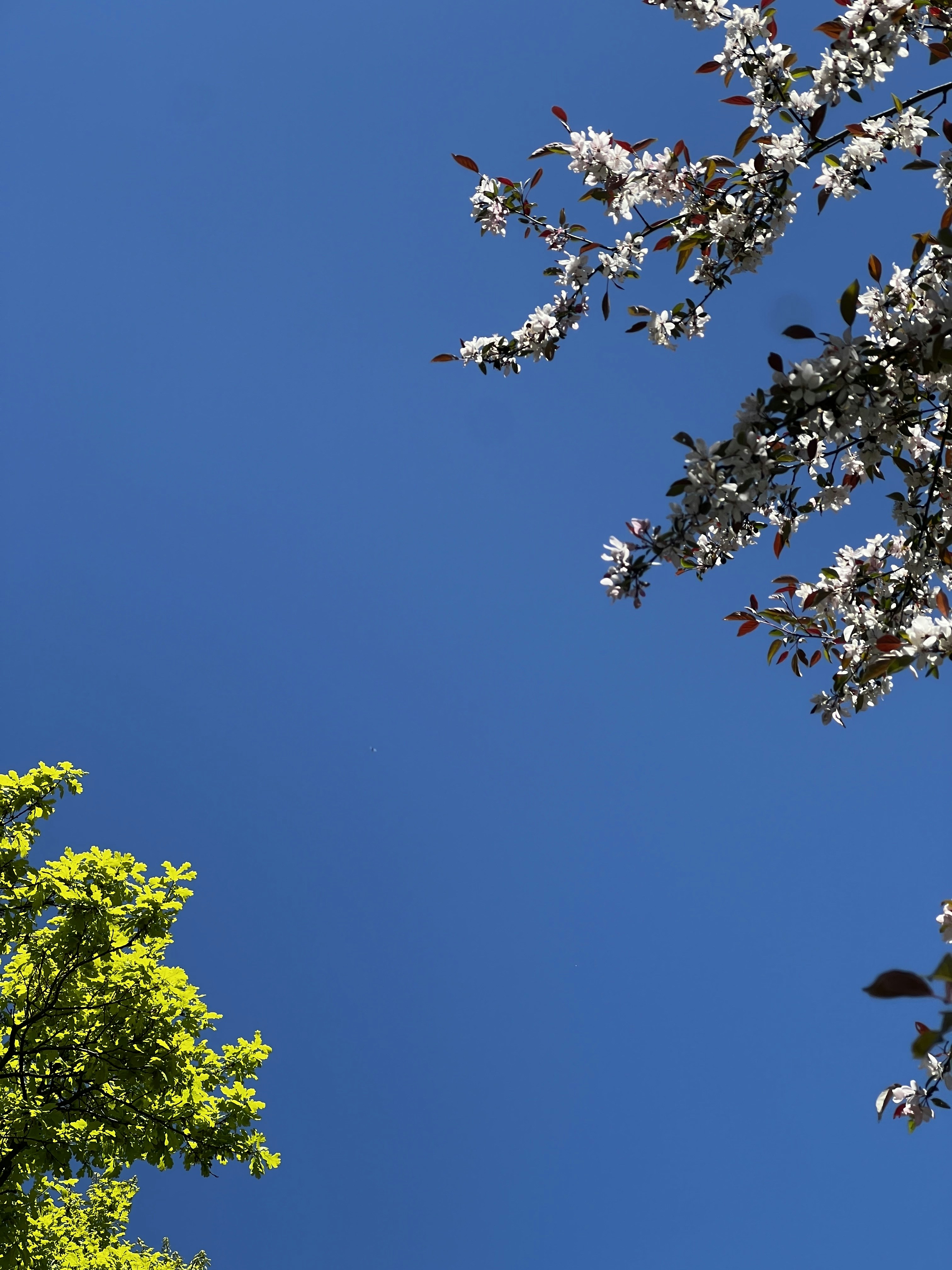 Photo by notthecernik