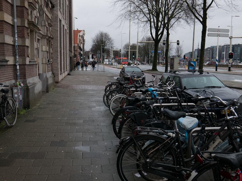 Un tas de vélos sont garés sur le bord de la rue