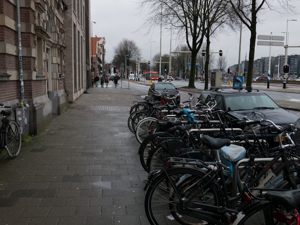 Un mucchio di biciclette sono parcheggiate sul ciglio della strada