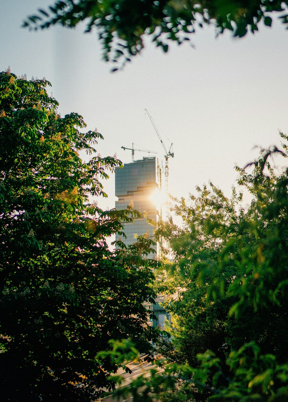 a view of a building through the trees