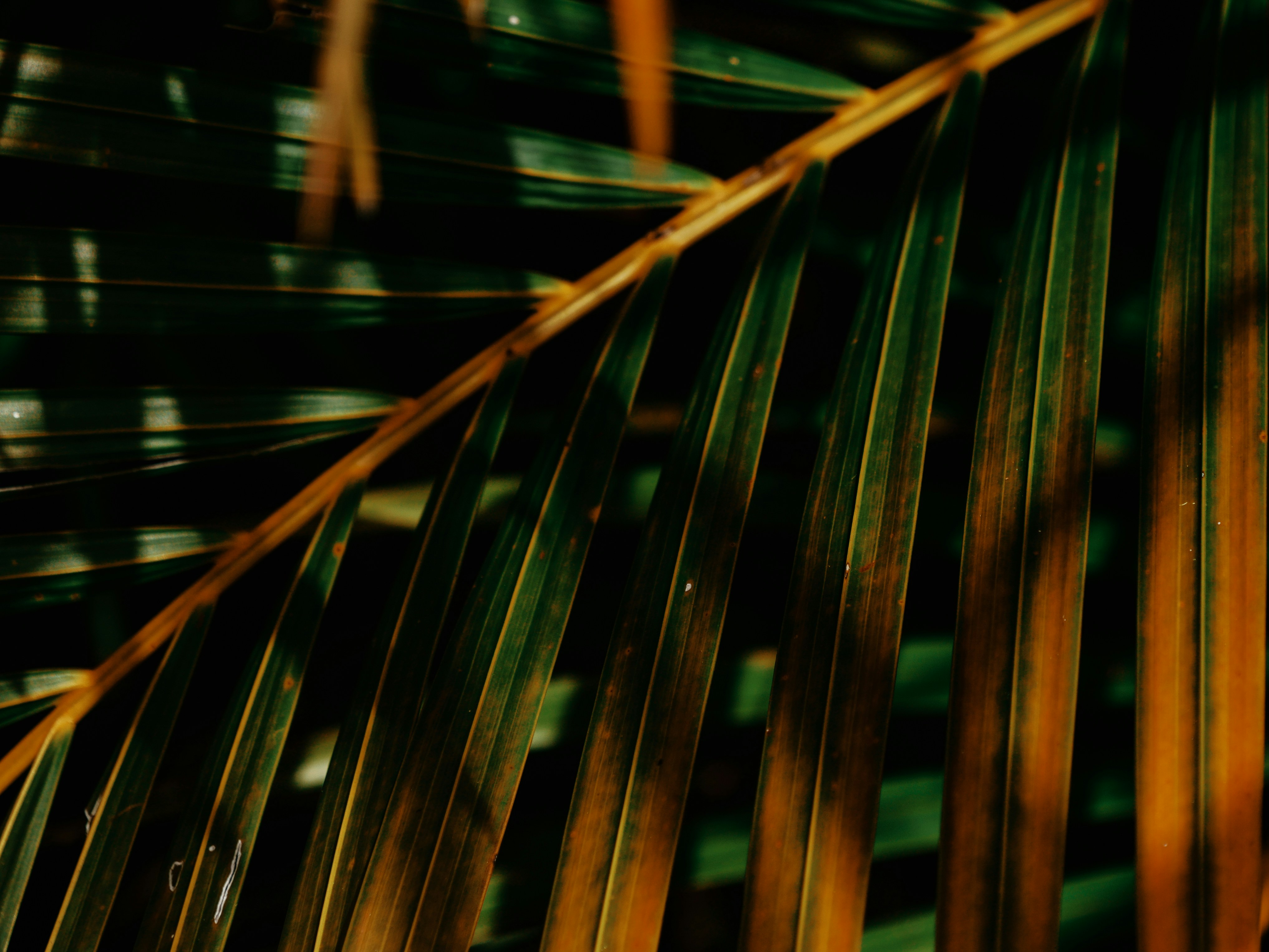 Photo by grantrobertdavies