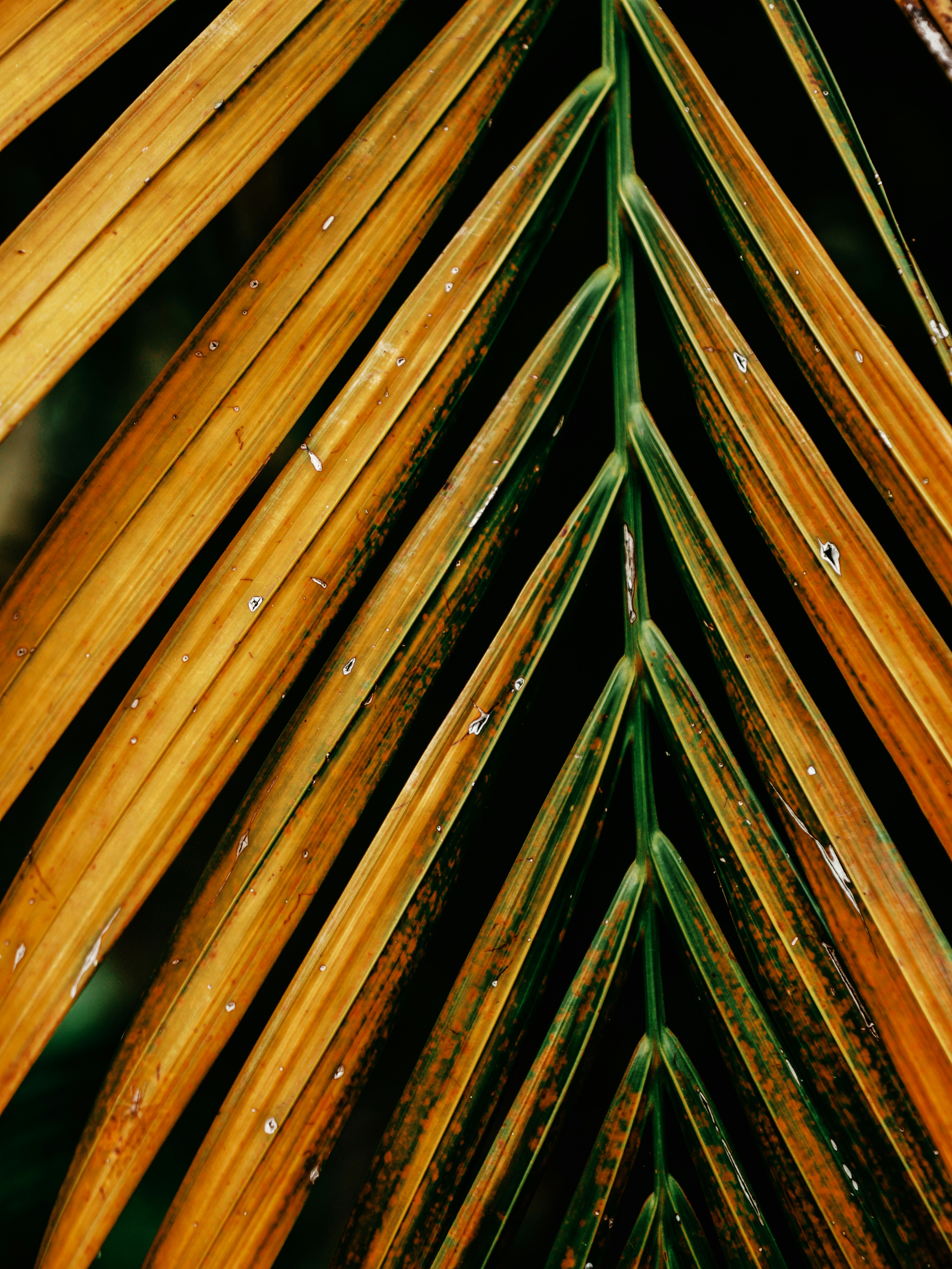 Photo by grantrobertdavies