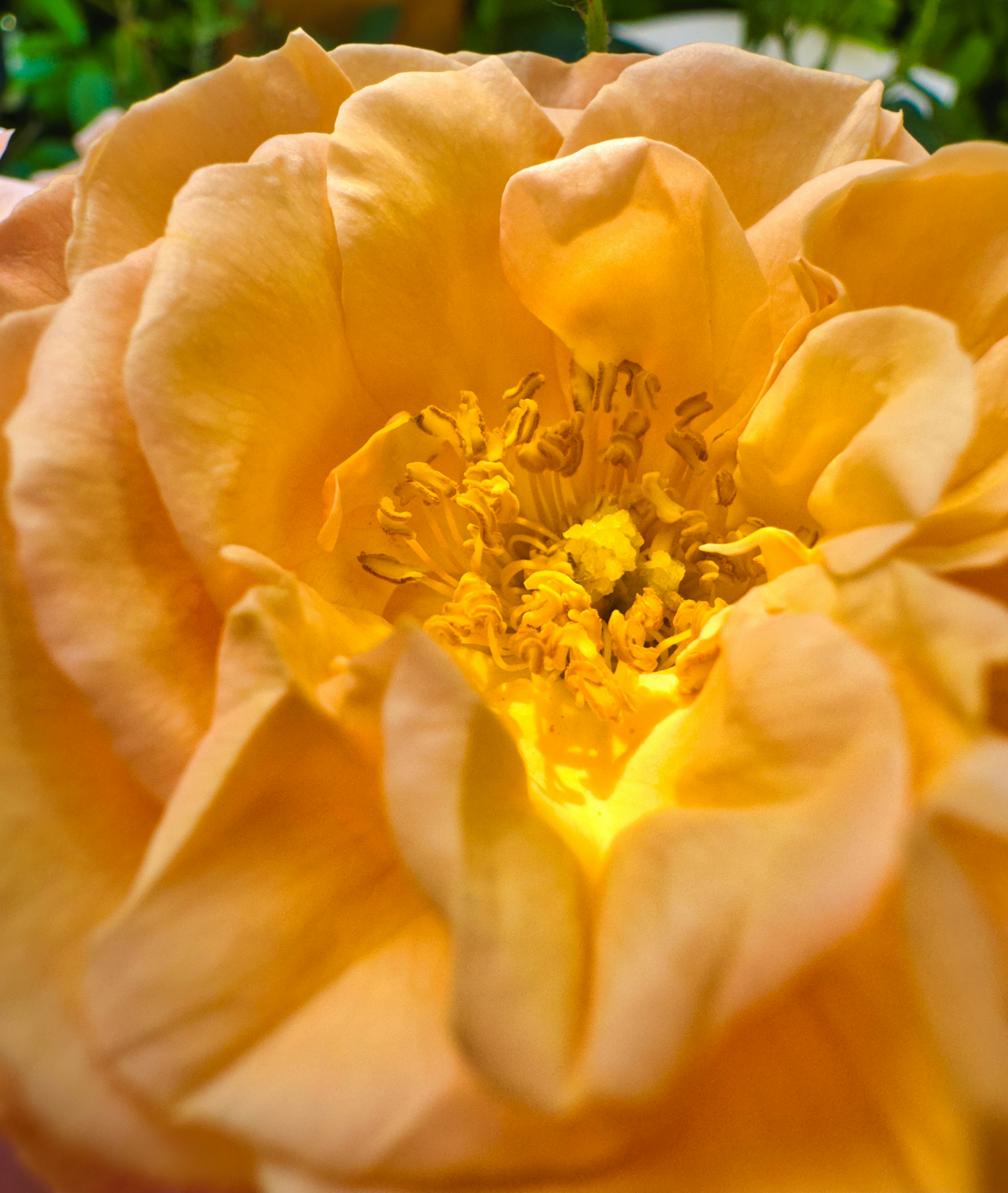 Photo by maverick2001