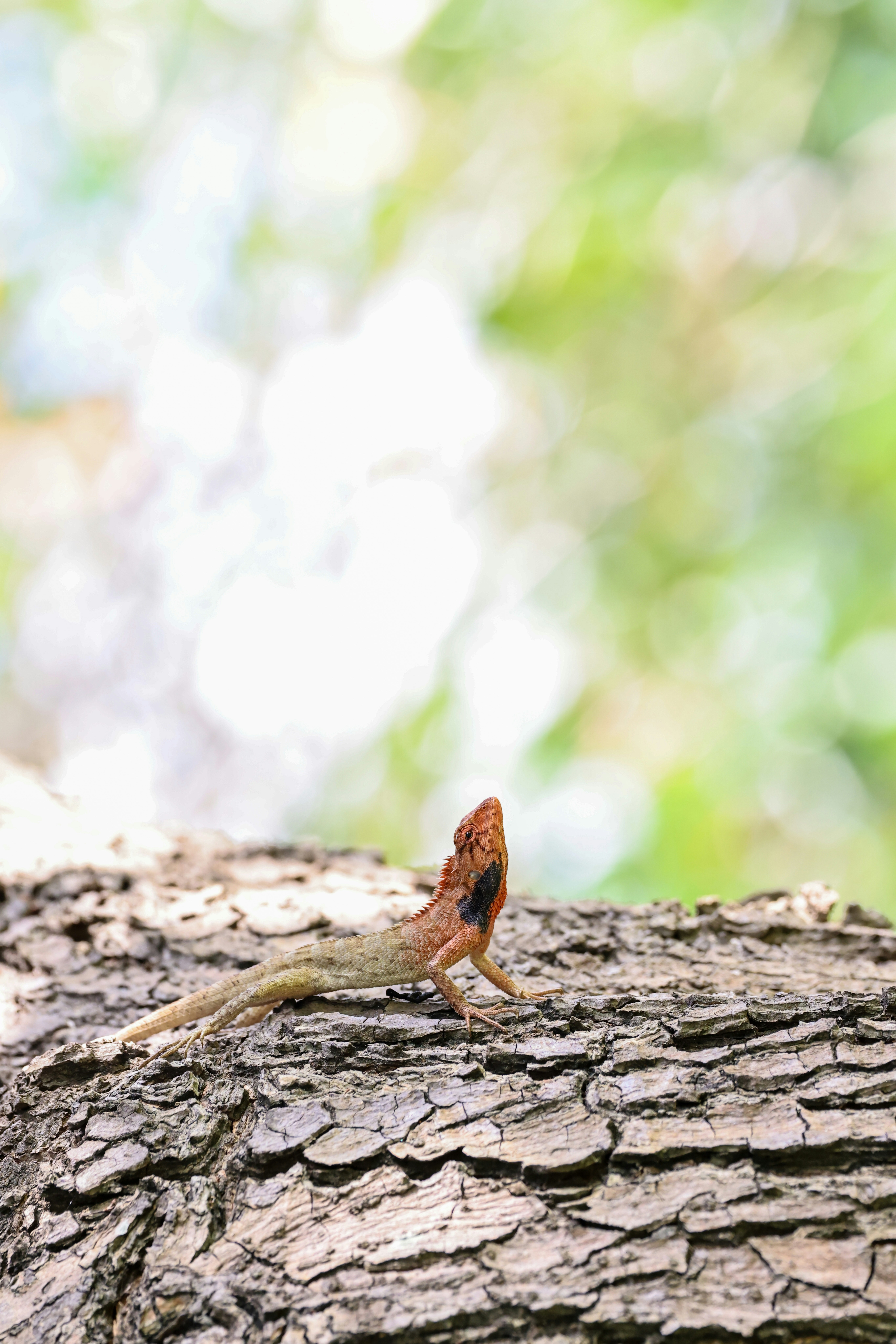 Photo by dickenslin76