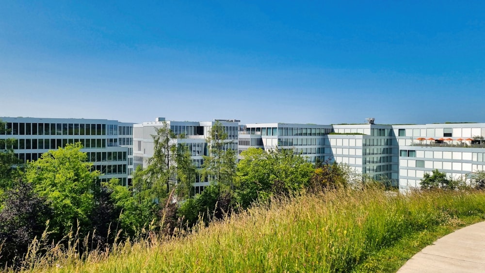 a grassy field next to a tall building