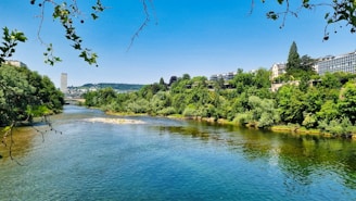 A serene river flowing through a thriving green landscape symbolizing water development.