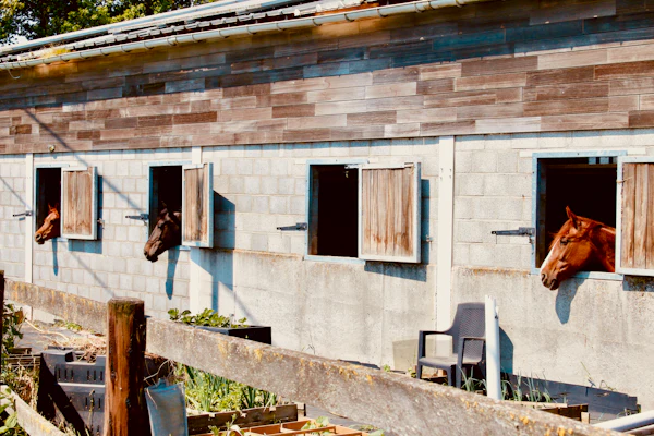 Horse & Livestock Barns