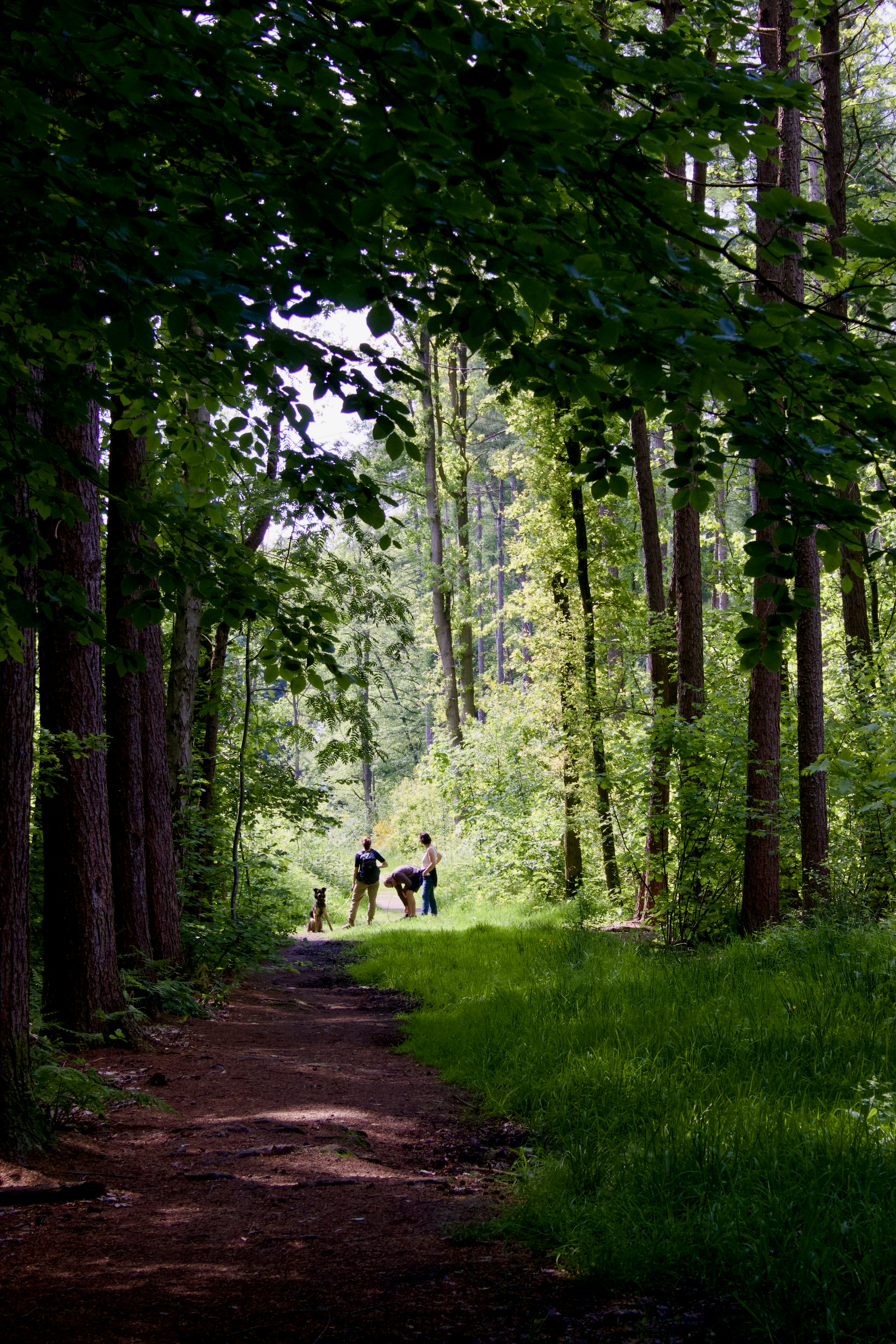 a couple of people walking down a dirt road