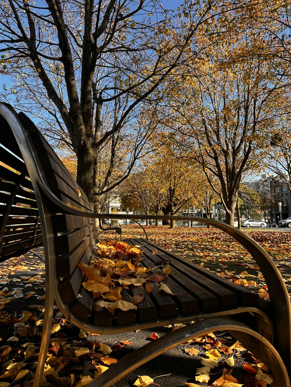 a park bench with fallen leaves on the ground