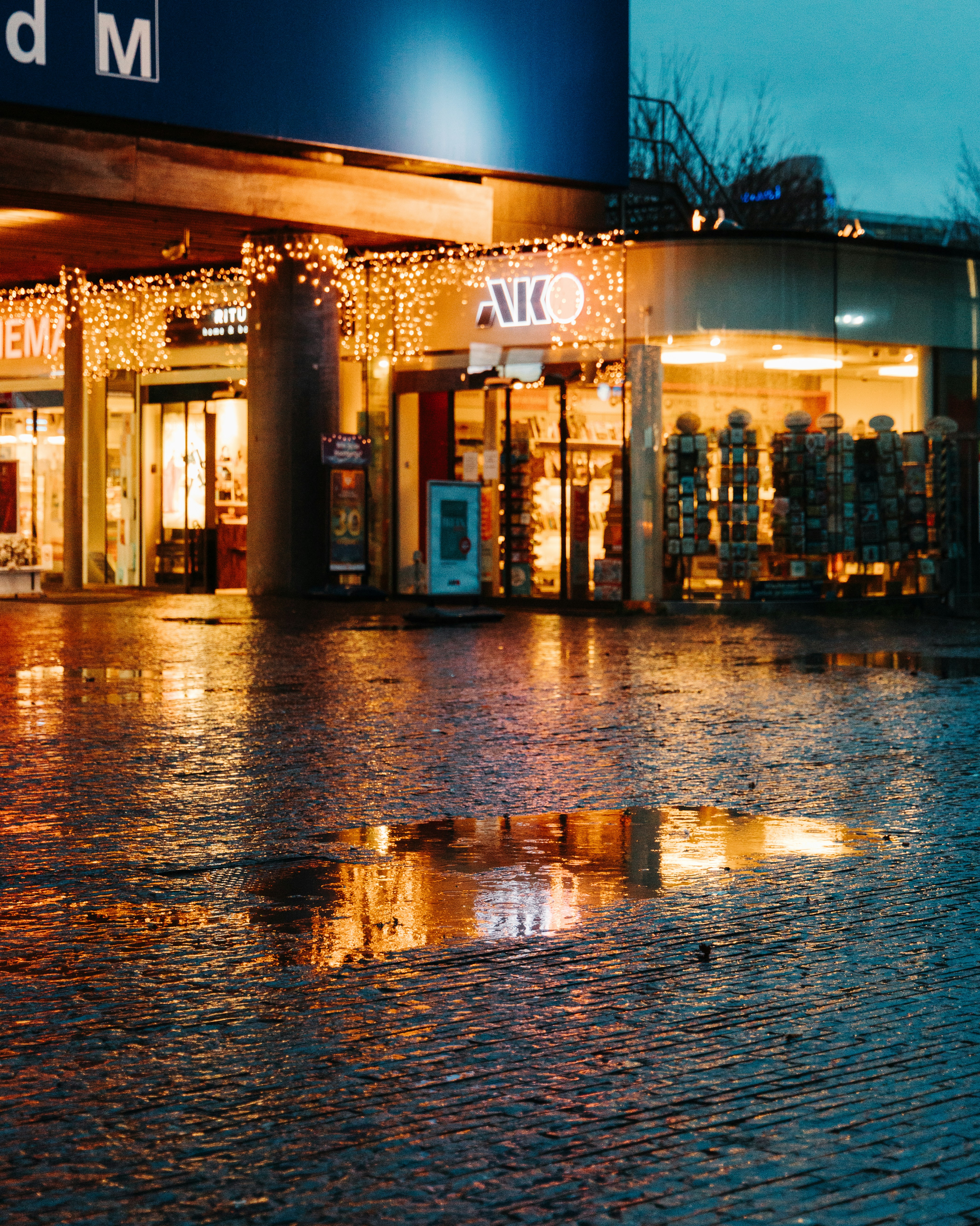 Photo by dmotionmedia