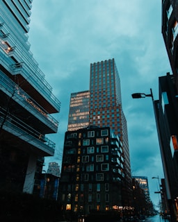 30% ruling application form Belastingdienst Netherlands expat tax exemption employer