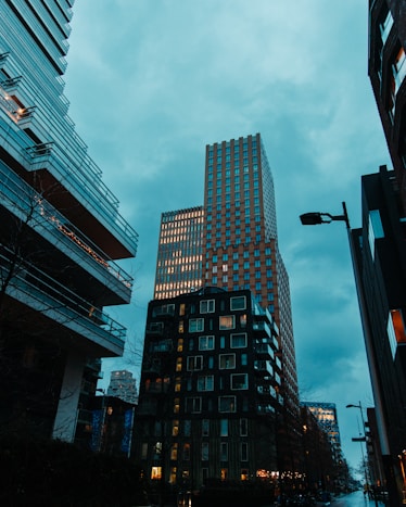 30% ruling application form Belastingdienst Netherlands expat tax exemption employer