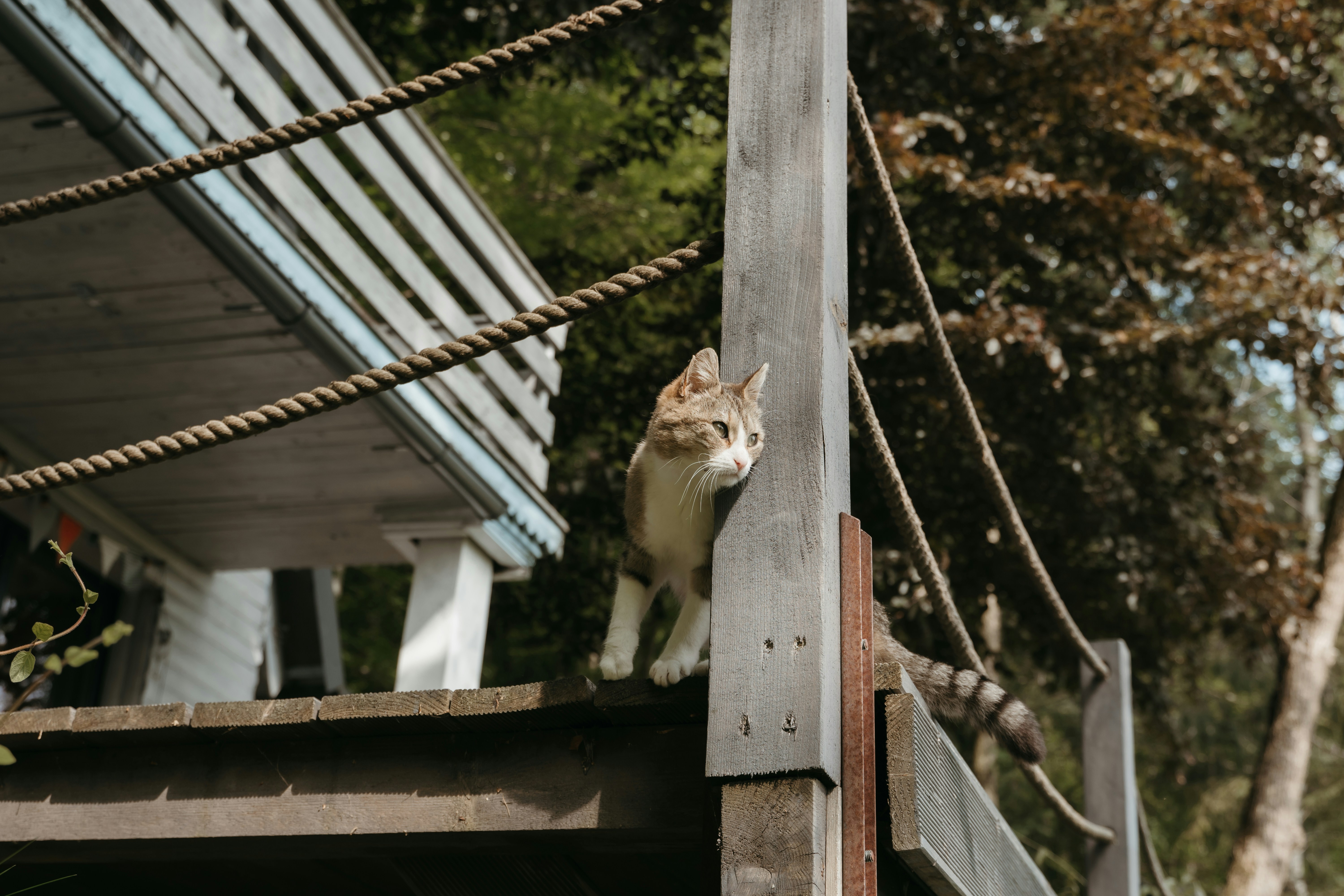 Photo by p_kuzovkova