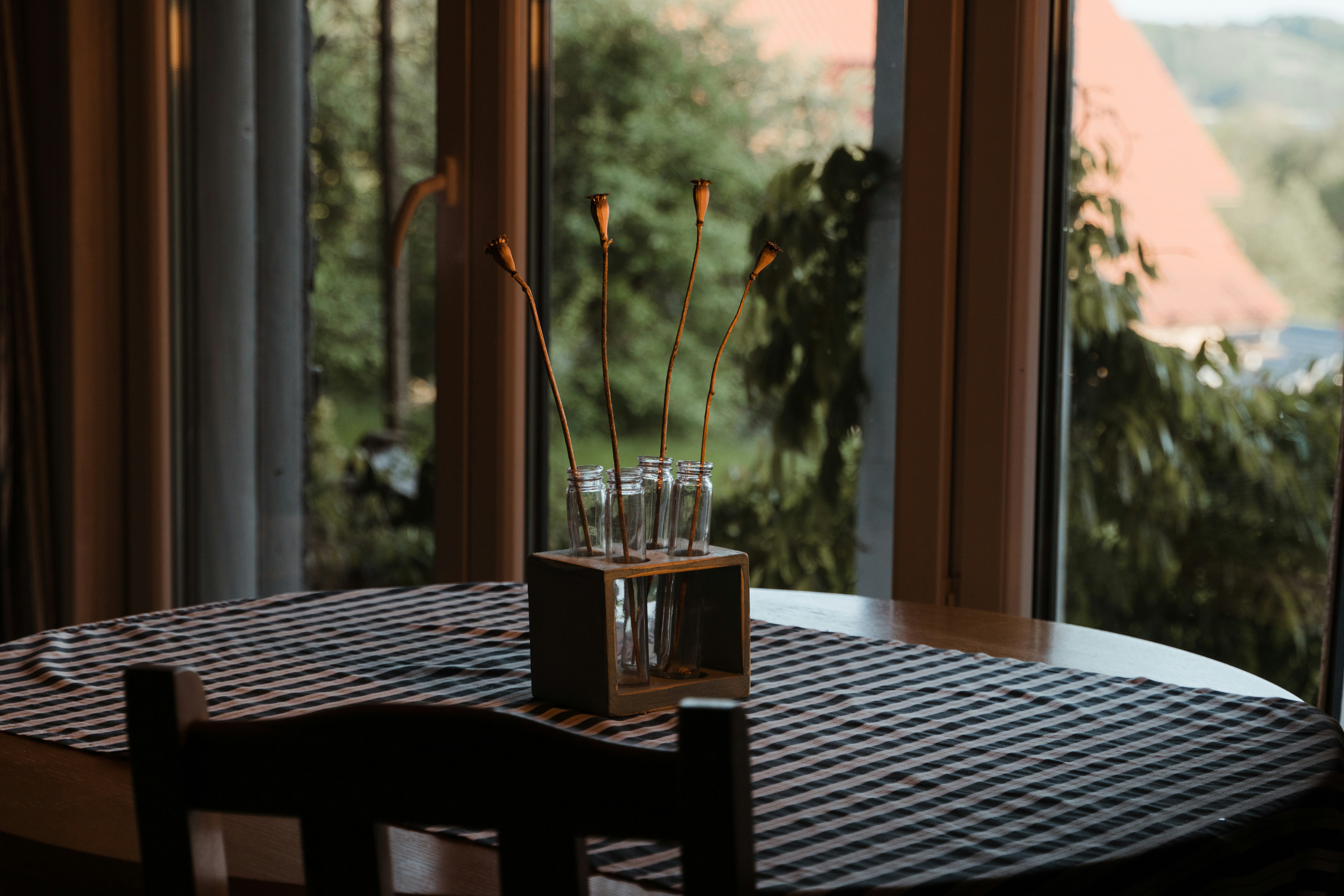 Photo by p_kuzovkova