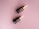 Two brown dropper bottles with golden caps are placed on a soft pink background. The bottles are labeled with a text indicating they are a serum product.