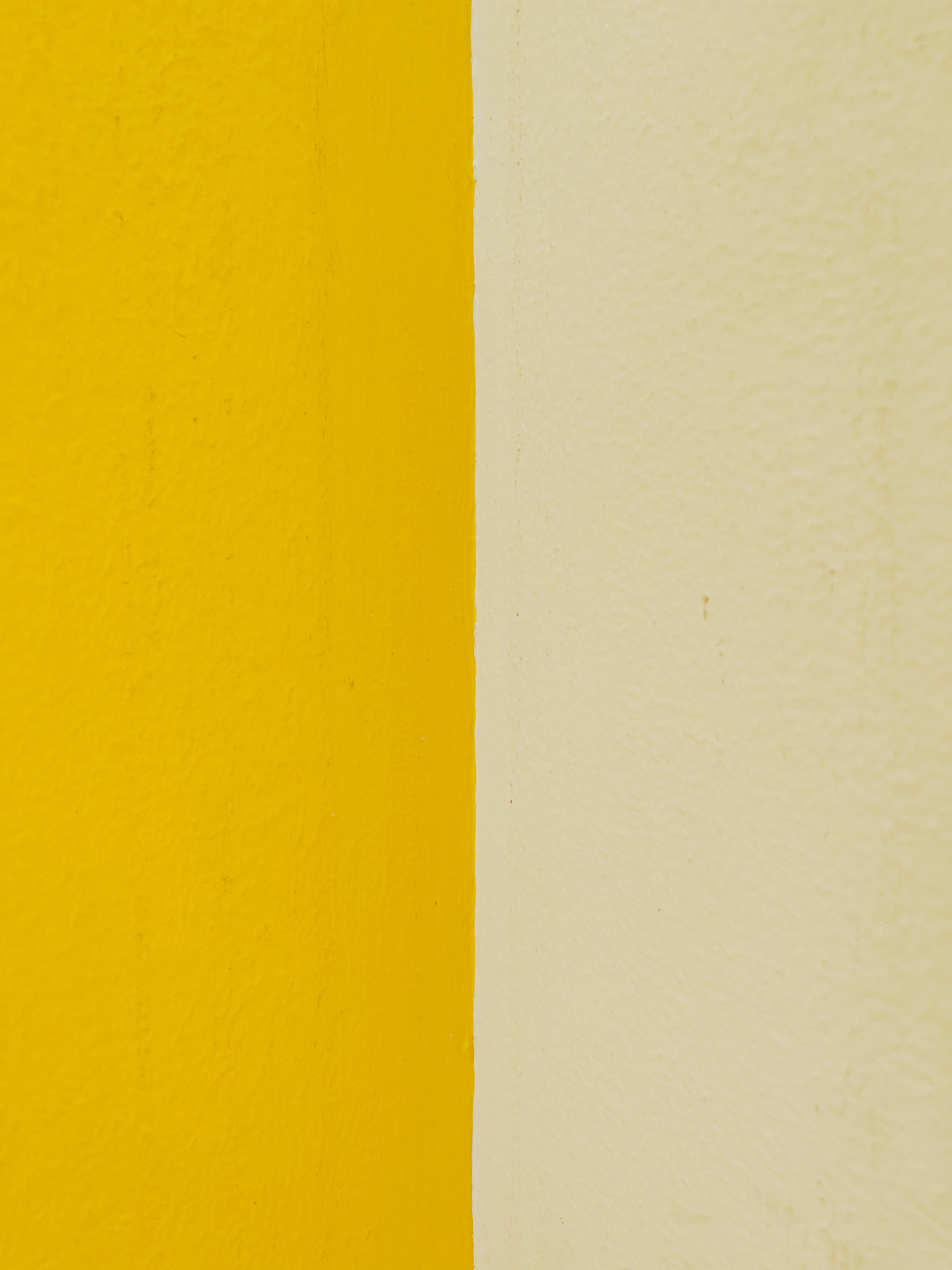 Photo by aryanspixel