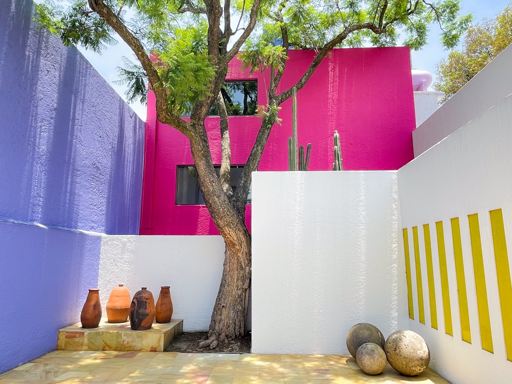 a tree in front of a colorful building