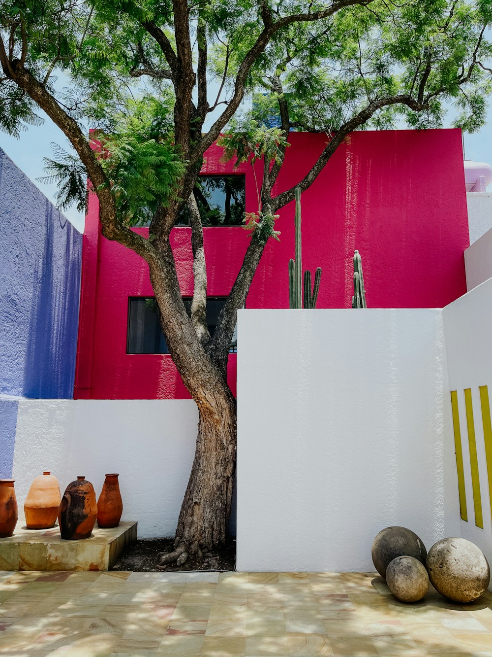 a tree in front of a white wall with a pink building in the background