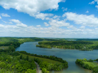 A bird's-eye view of a winding river cutting through lush green forests under a clear blue sky.