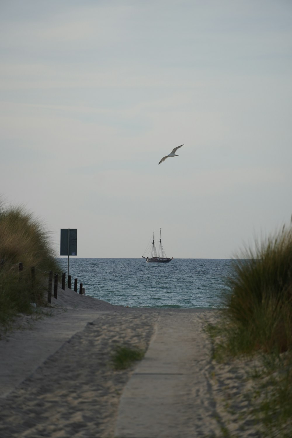 a bird flying over a boat in the ocean