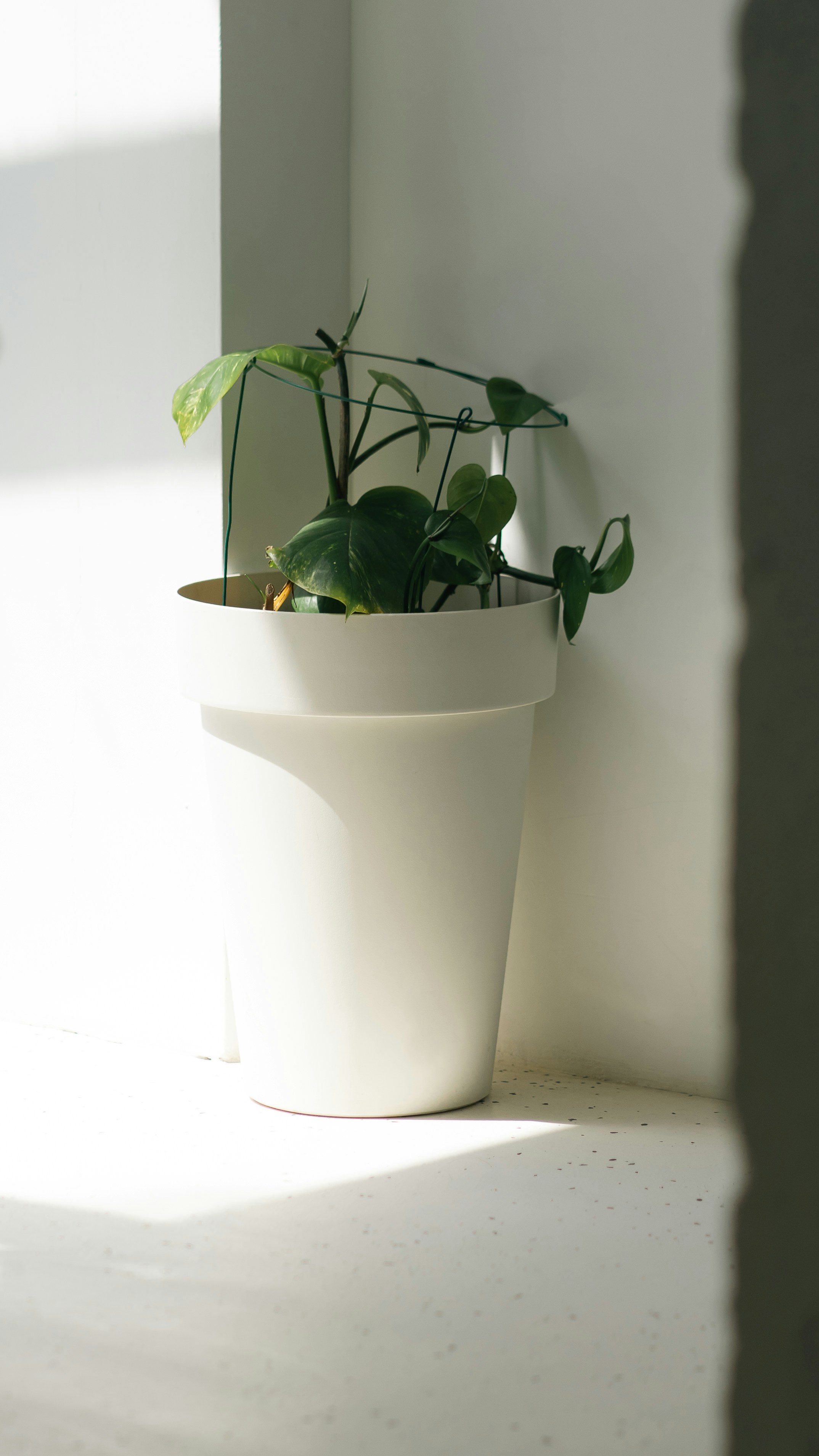 Photo by eugenechystiakov