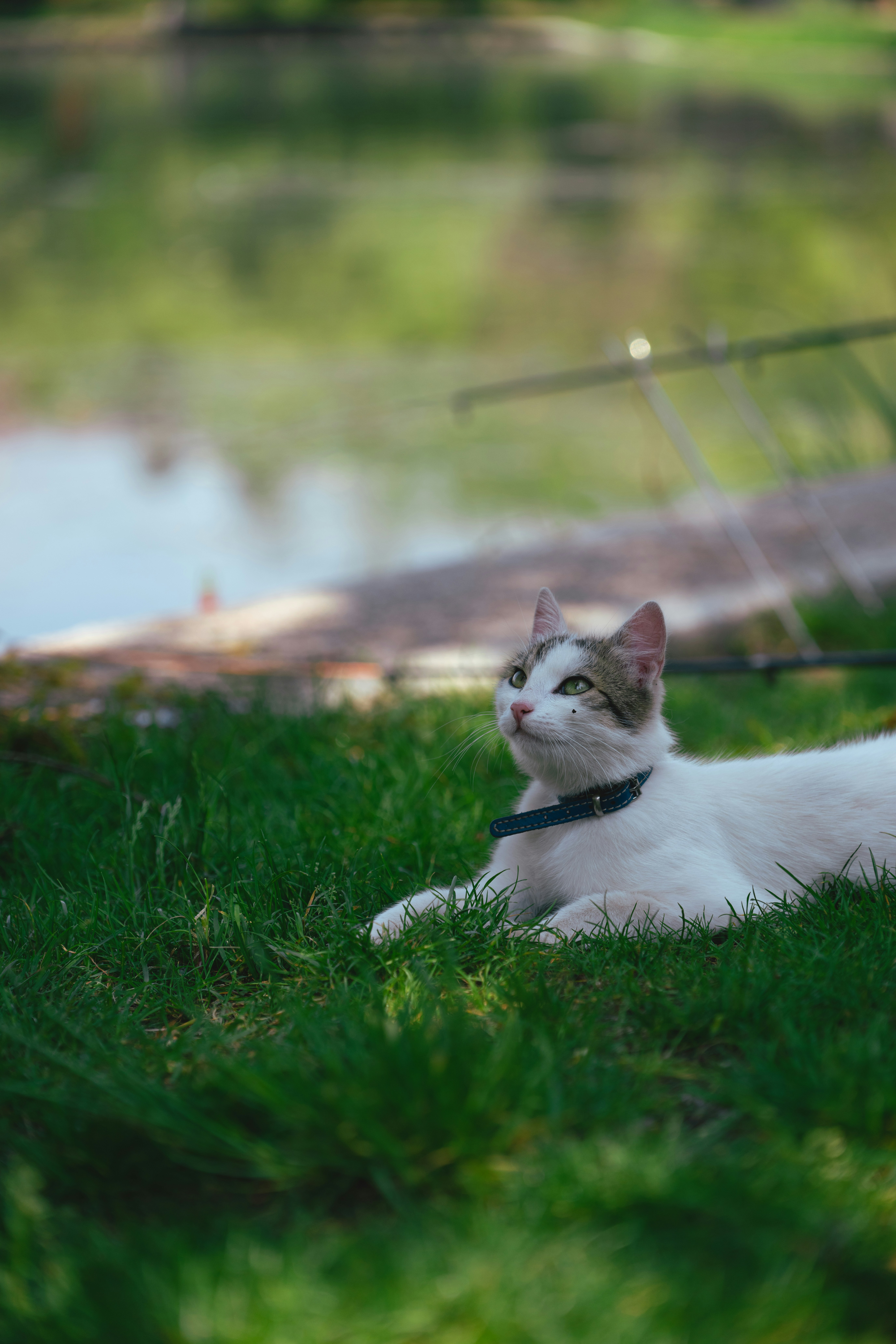 Creating Shared Territory (image credits: unsplash)