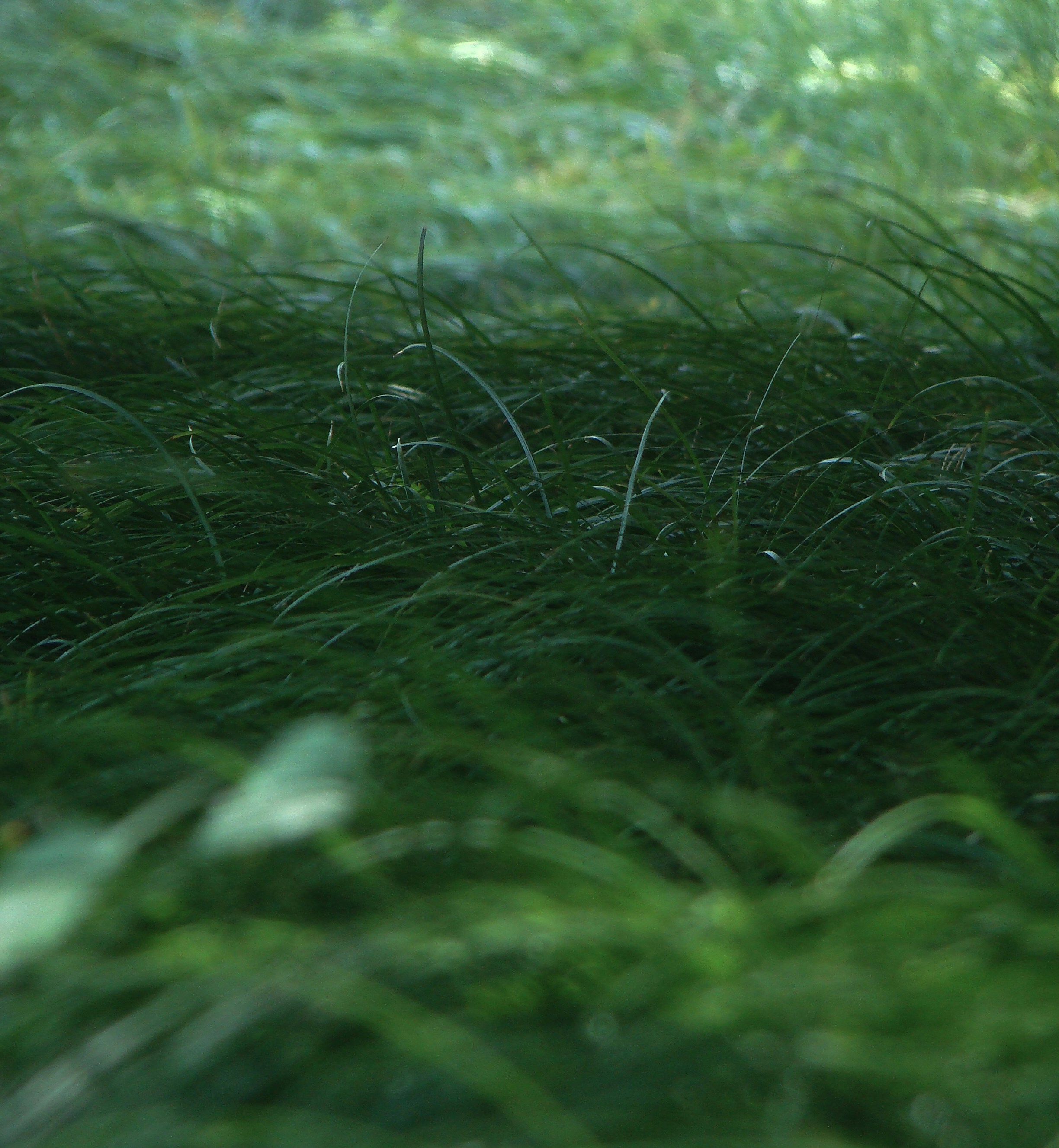 Photo by maro_of_sengu