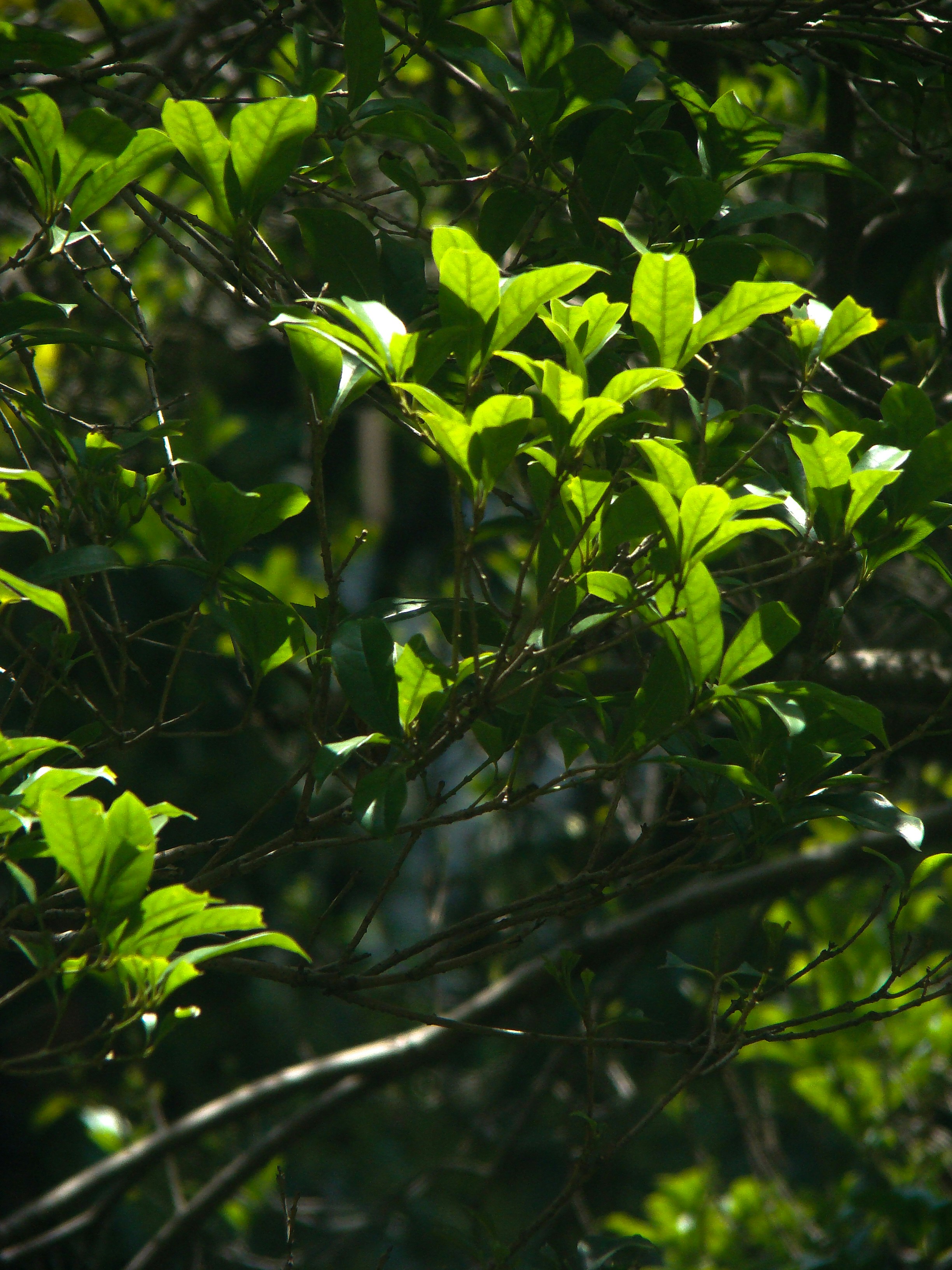 Photo by maro_of_sengu