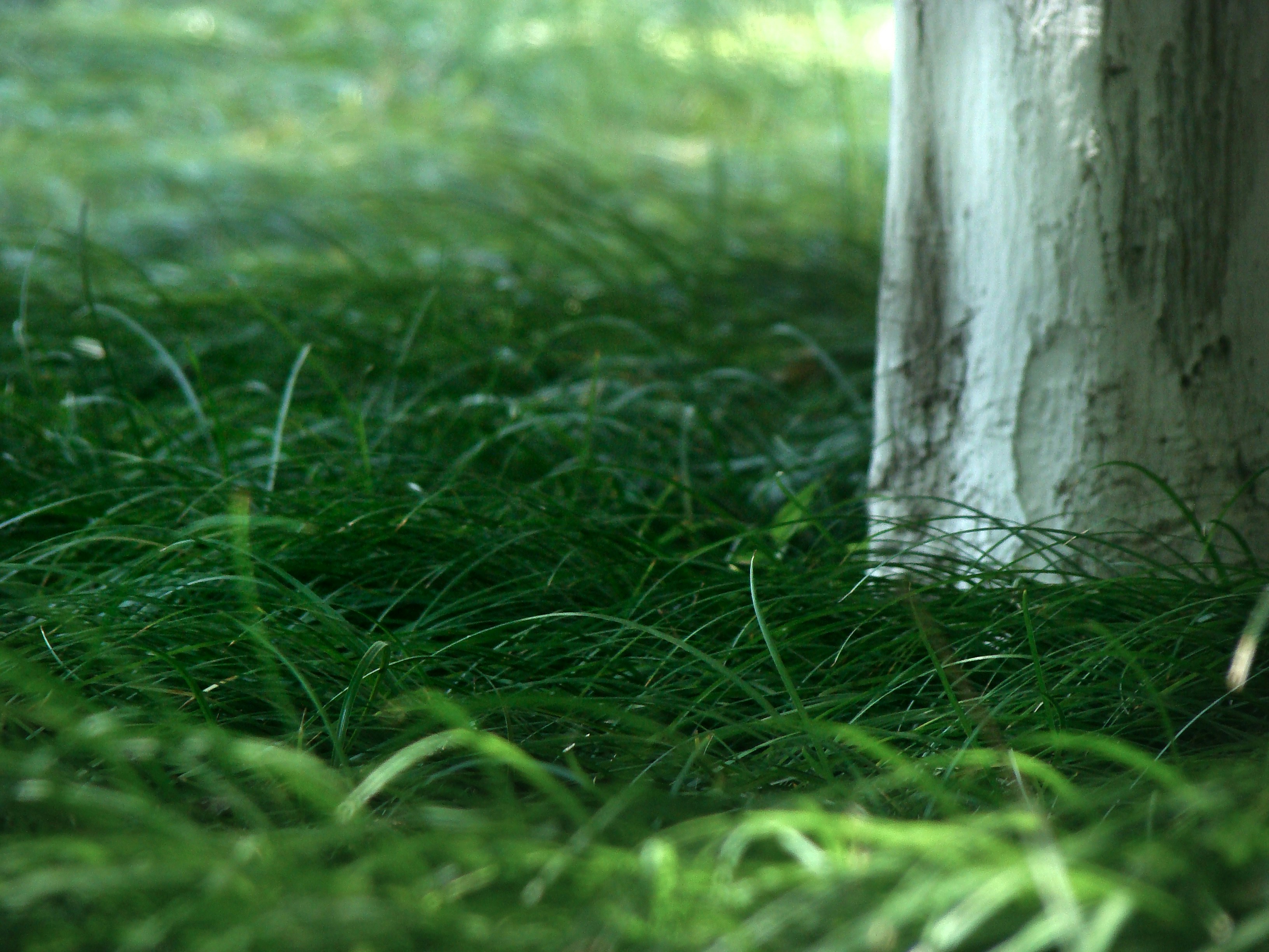 Photo by maro_of_sengu