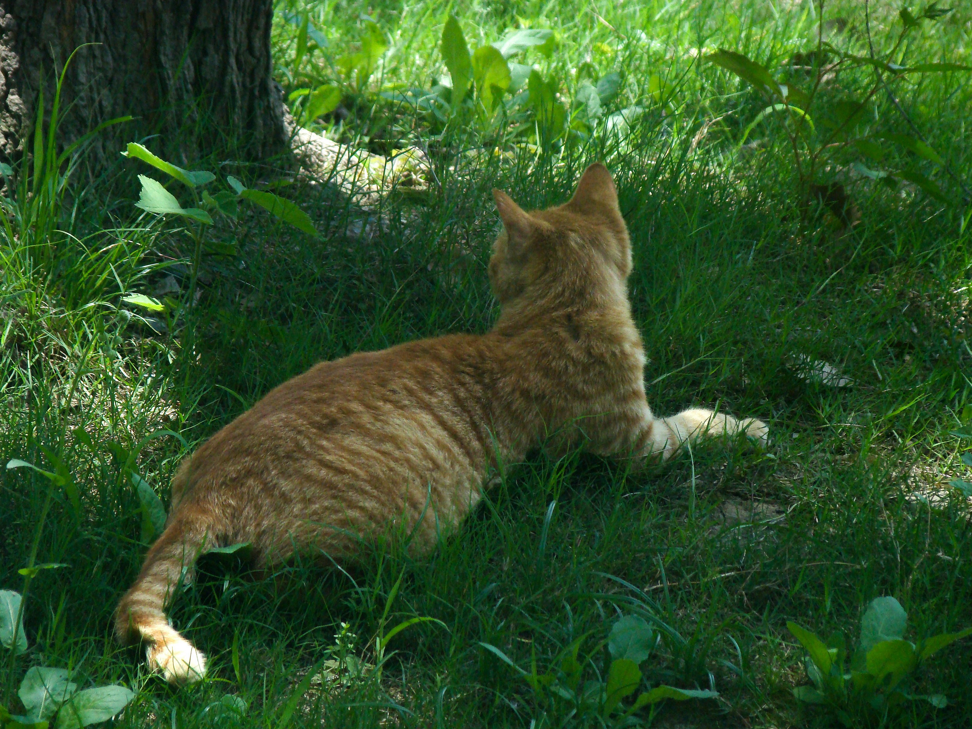 Photo by maro_of_sengu