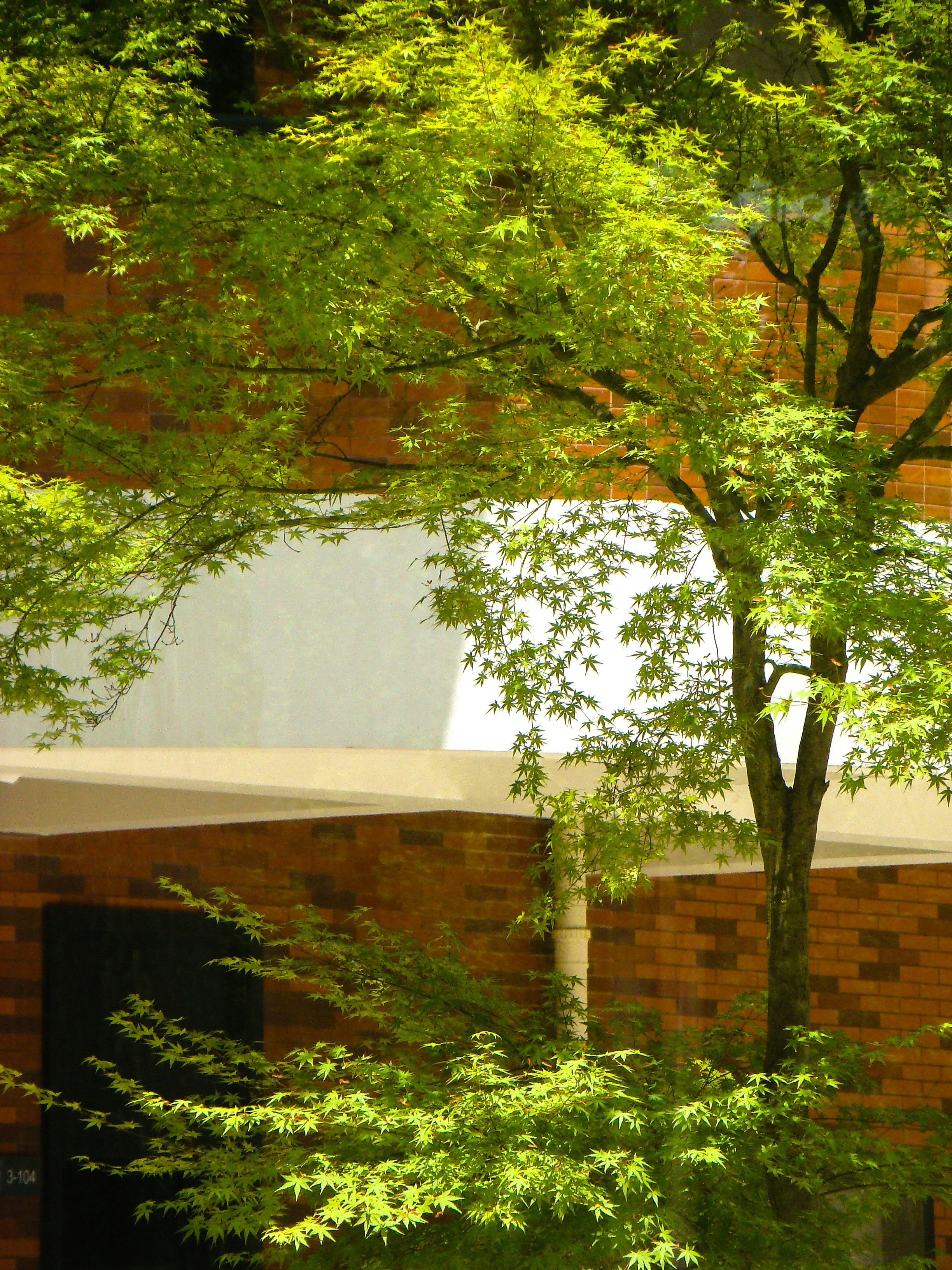 Photo by maro_of_sengu