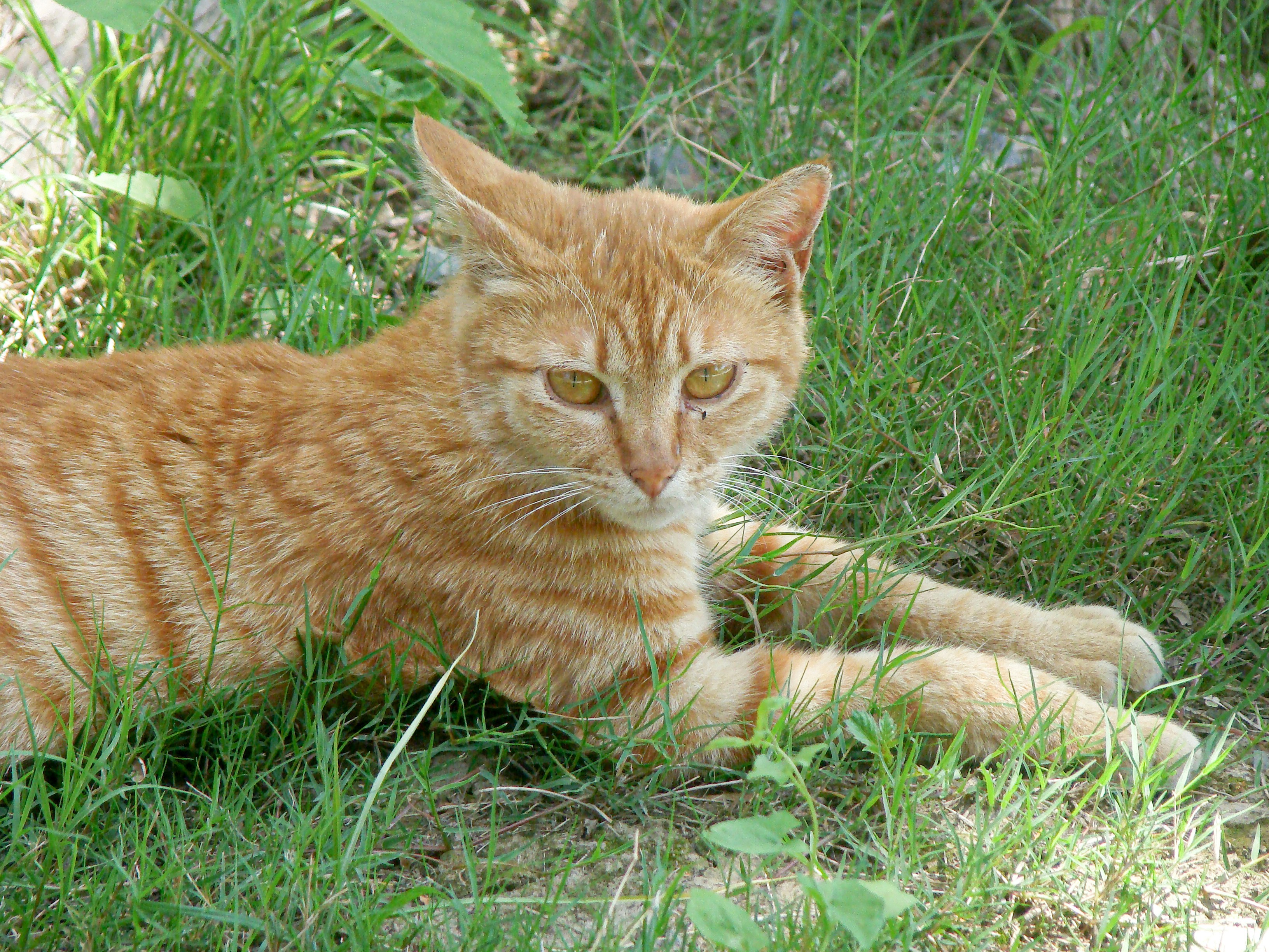 Photo by maro_of_sengu