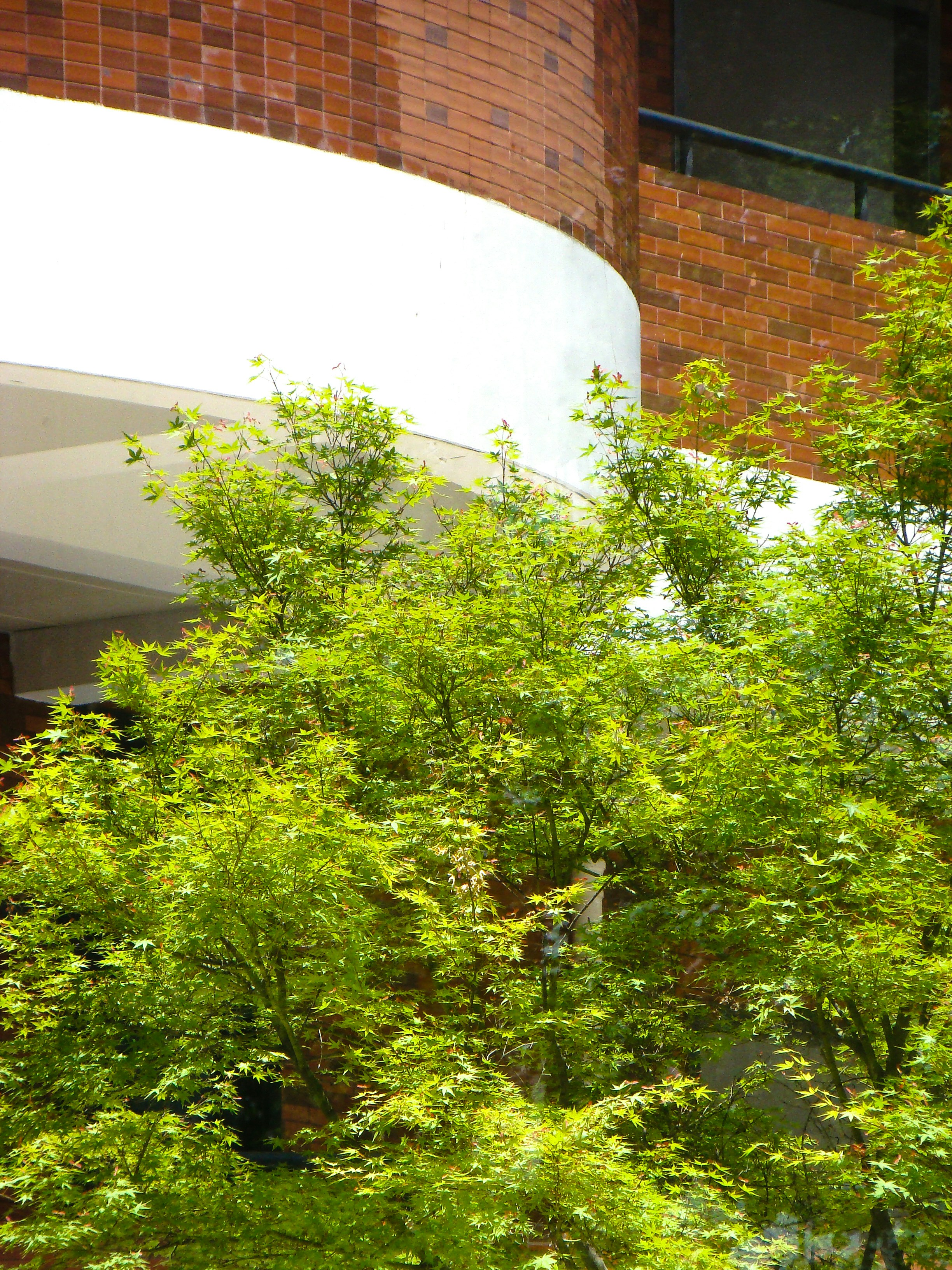 Photo by maro_of_sengu