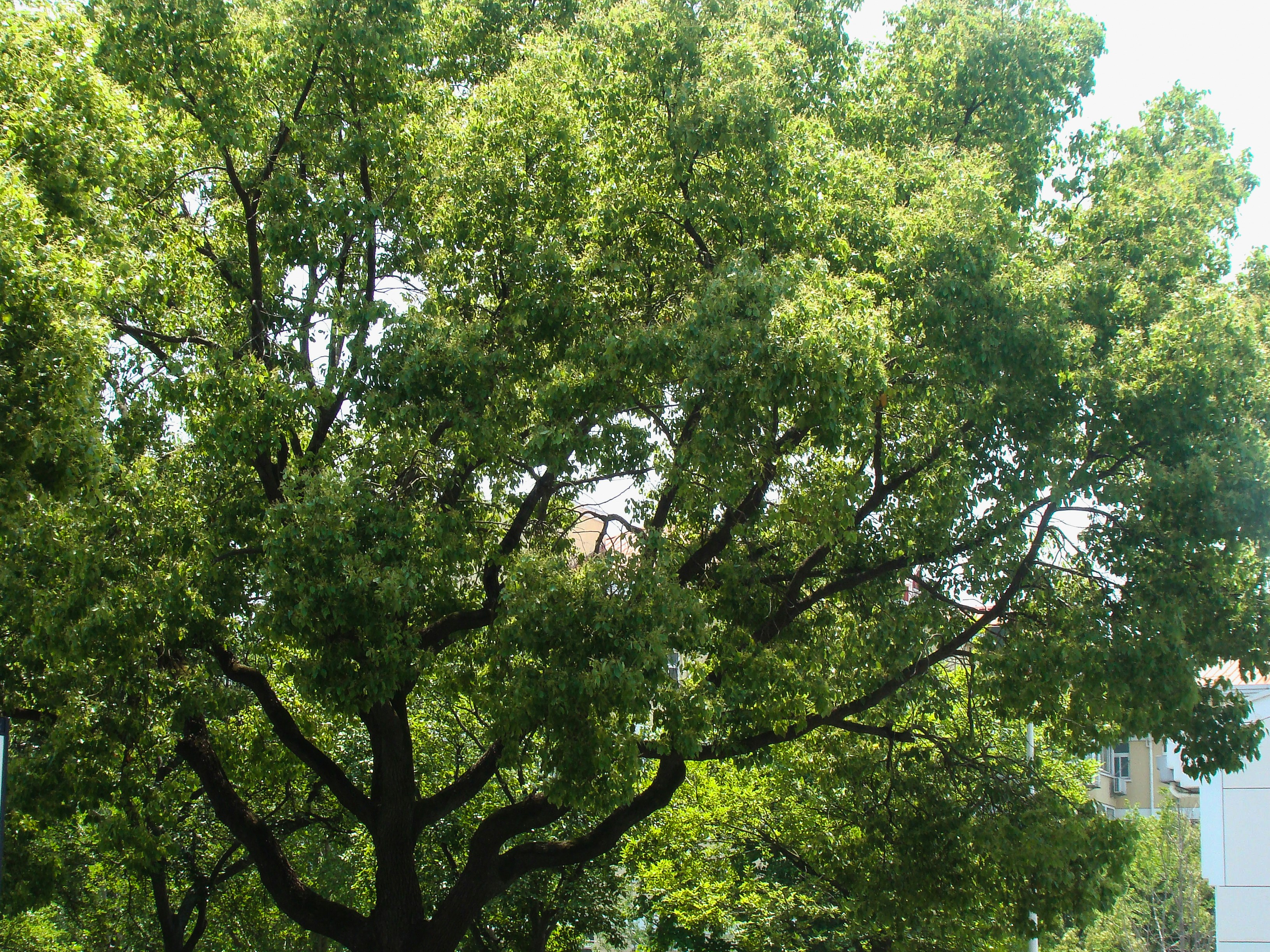 Photo by maro_of_sengu