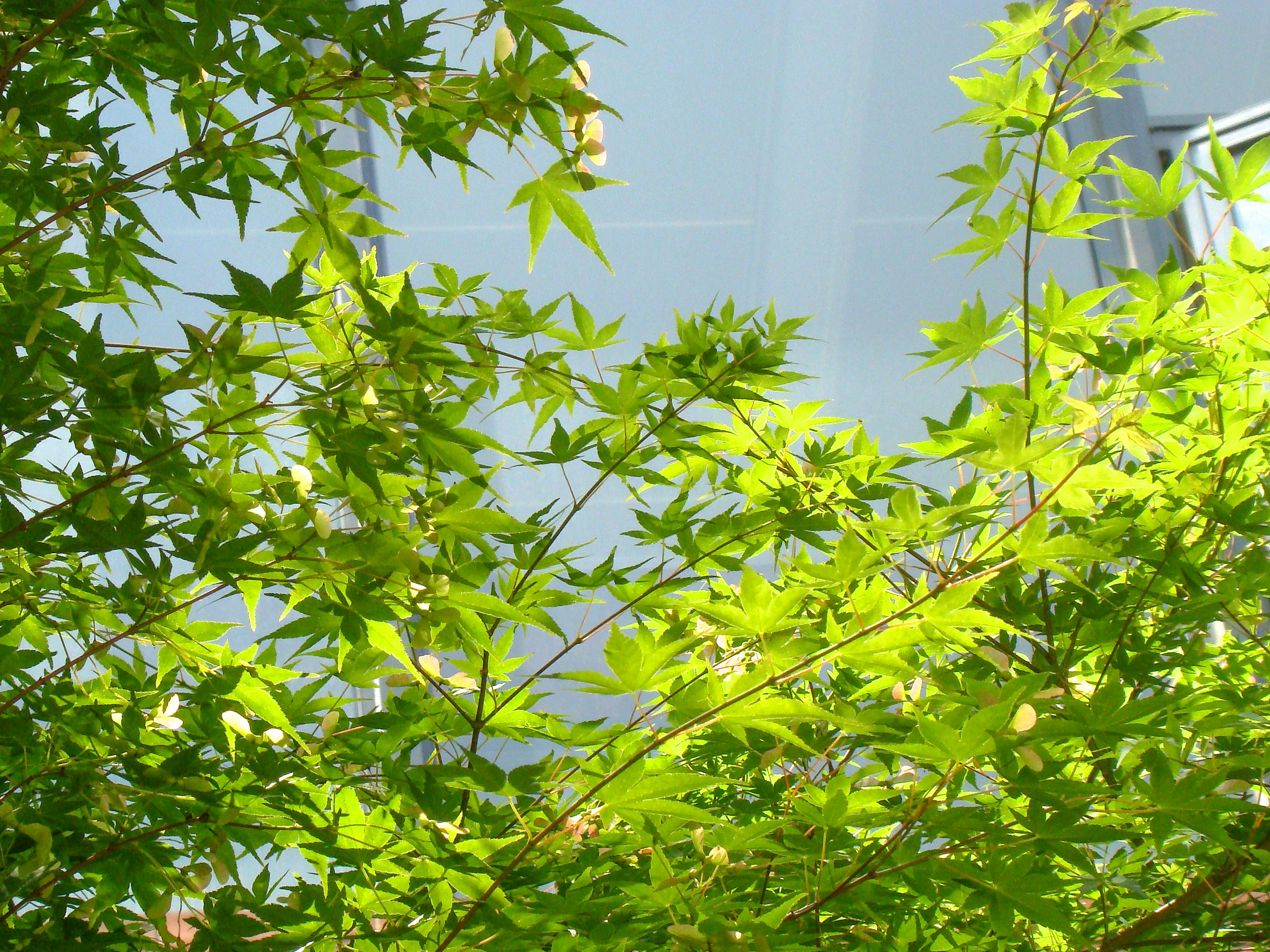 Photo by maro_of_sengu