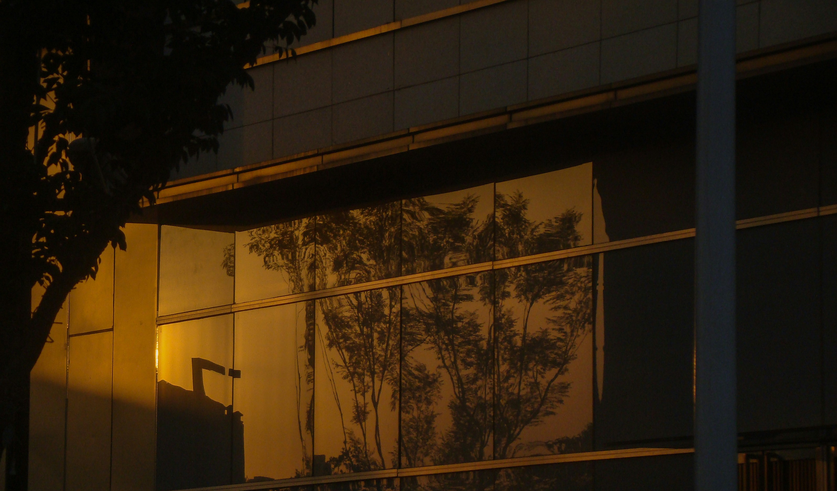 Photo by maro_of_sengu