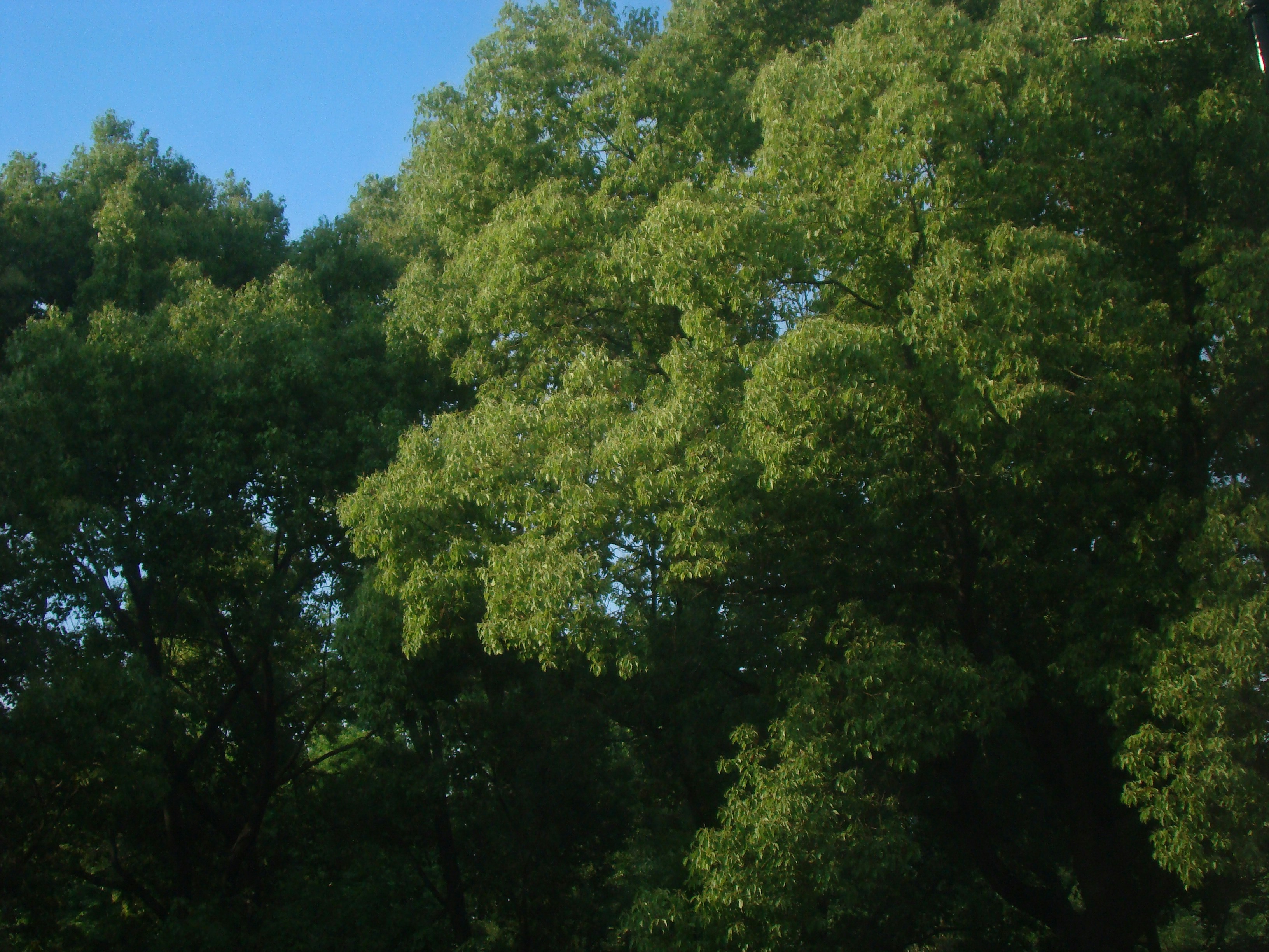 Photo by maro_of_sengu